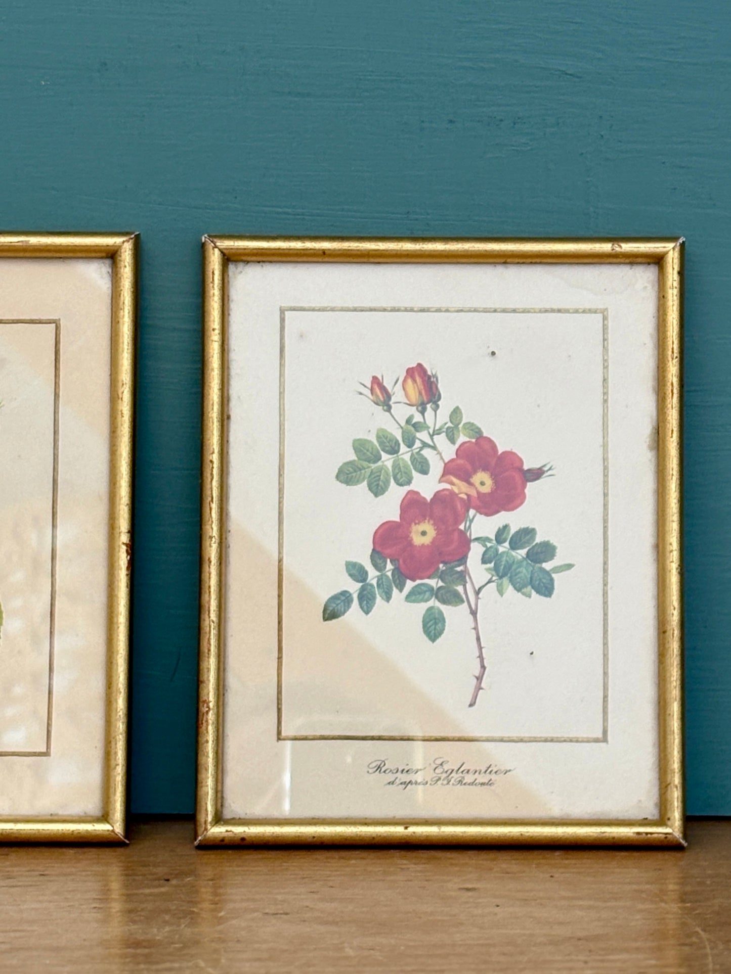 Lot de deux cadres vintage - les rose de Redouté -