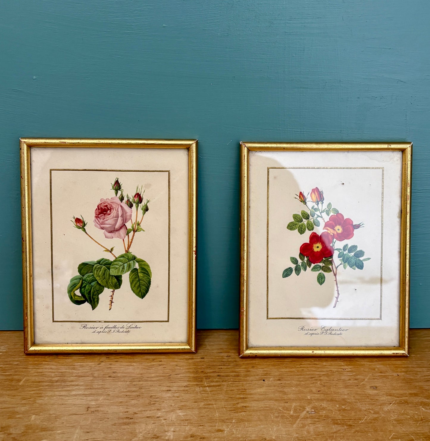 Lot de deux cadres vintage - les rose de Redouté -