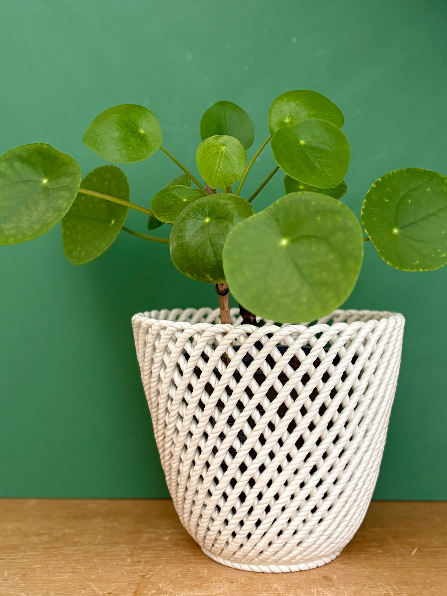 Cache pot vintage en céramique tressée