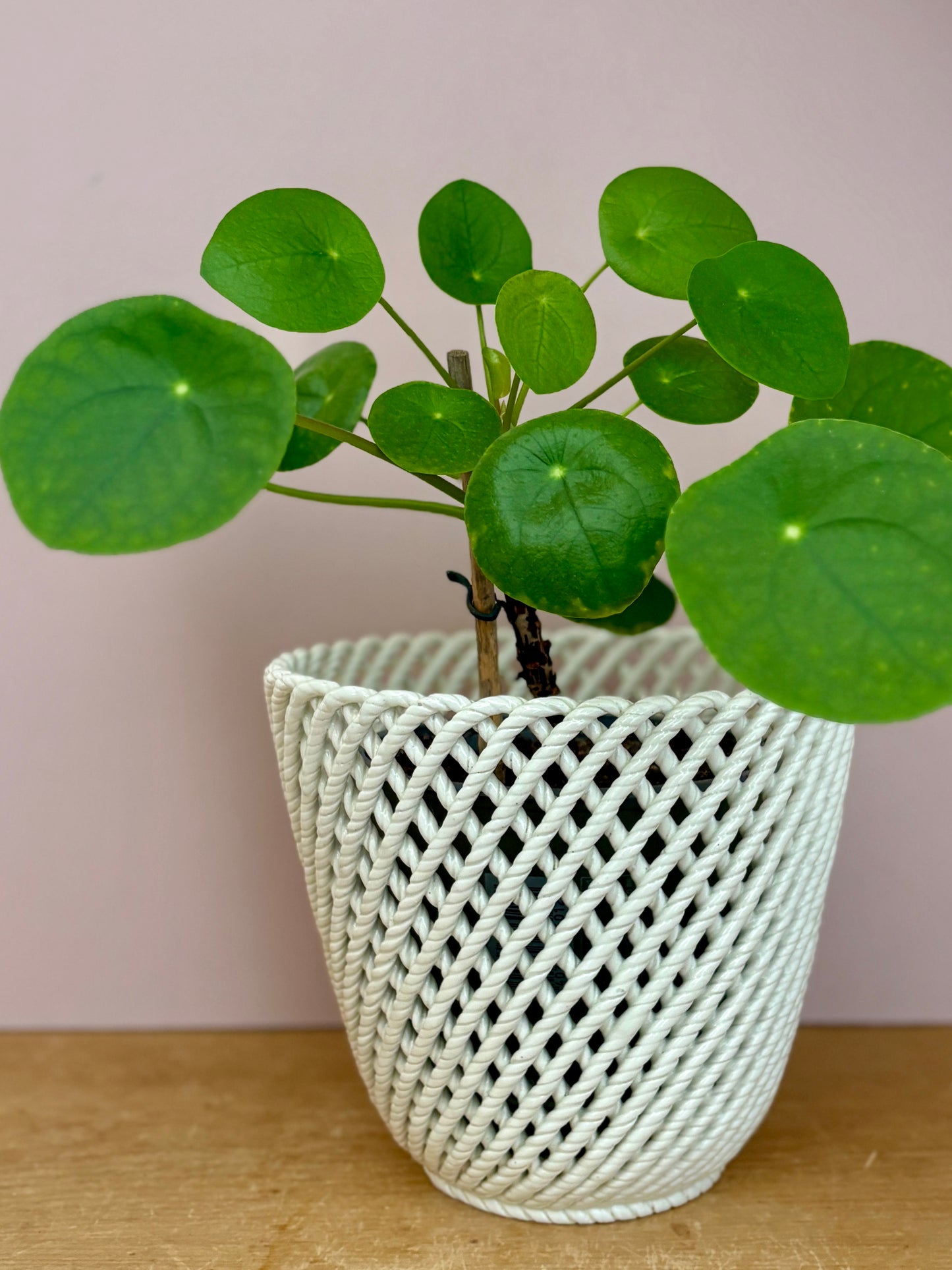 Cache pot vintage en céramique tressée