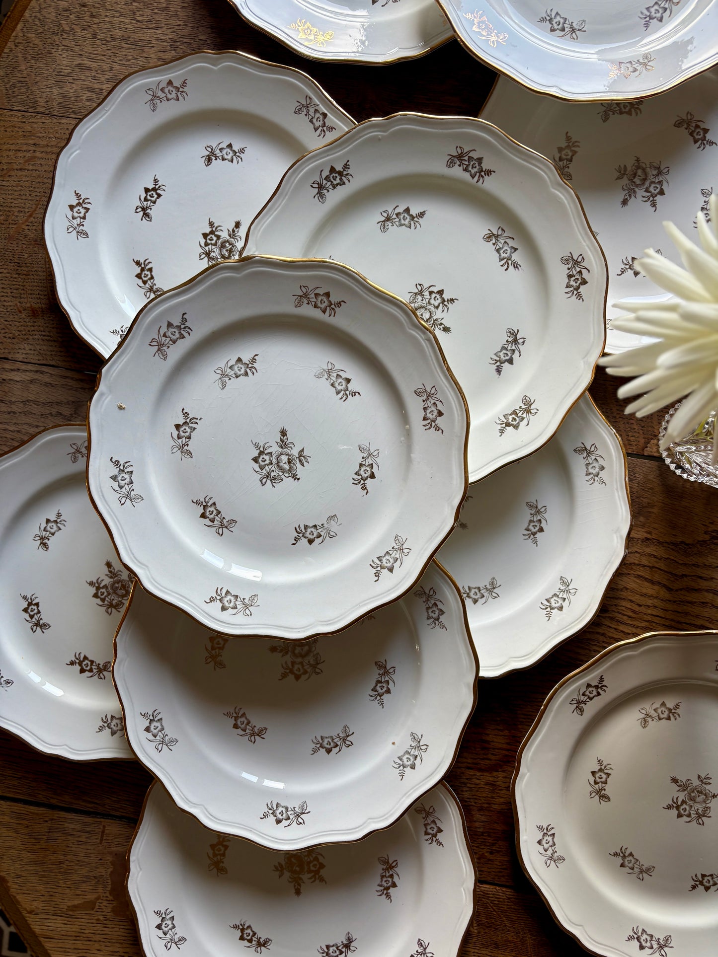 Lot de 12 assiettes plates vintage en demi porcelaine avec détails dorés - L'amandinoise