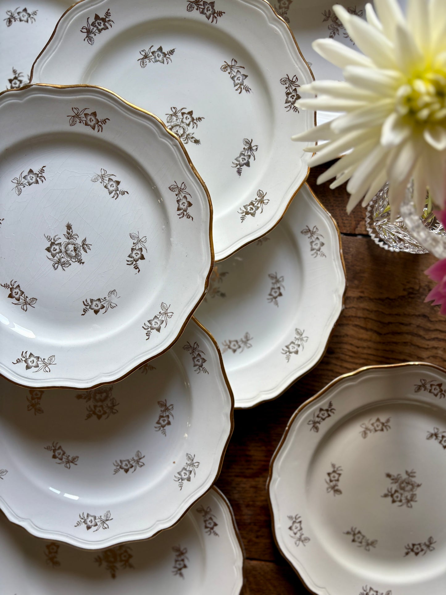 Lot de 12 assiettes plates vintage en demi porcelaine avec détails dorés - L'amandinoise