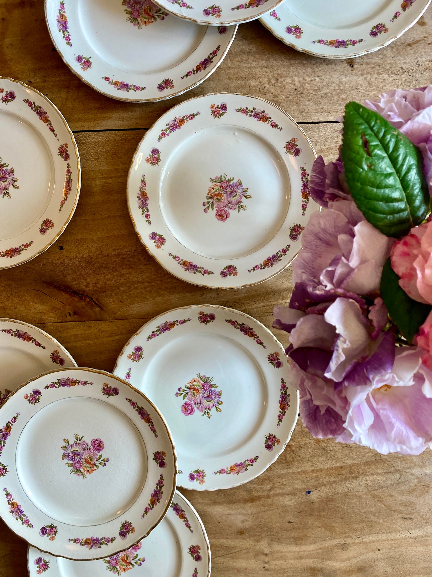 Lot de 10 assiettes à dessert vintage - Princesse de Moulin des Loups