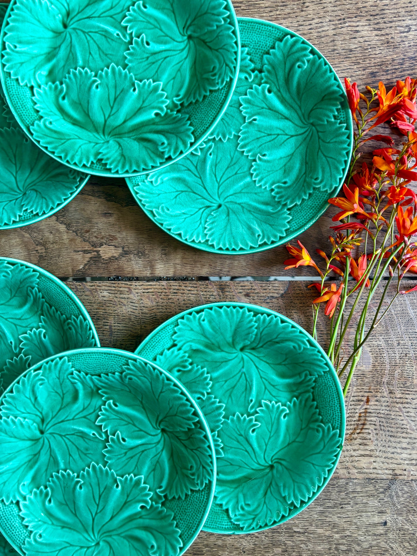 Lot de 8 assiettes à  dessert vintage en faïence verte, barbotine.