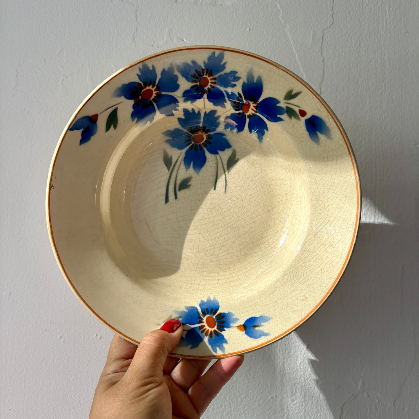 Lot de 6 assiettes creuses anciennes décors de bleuets