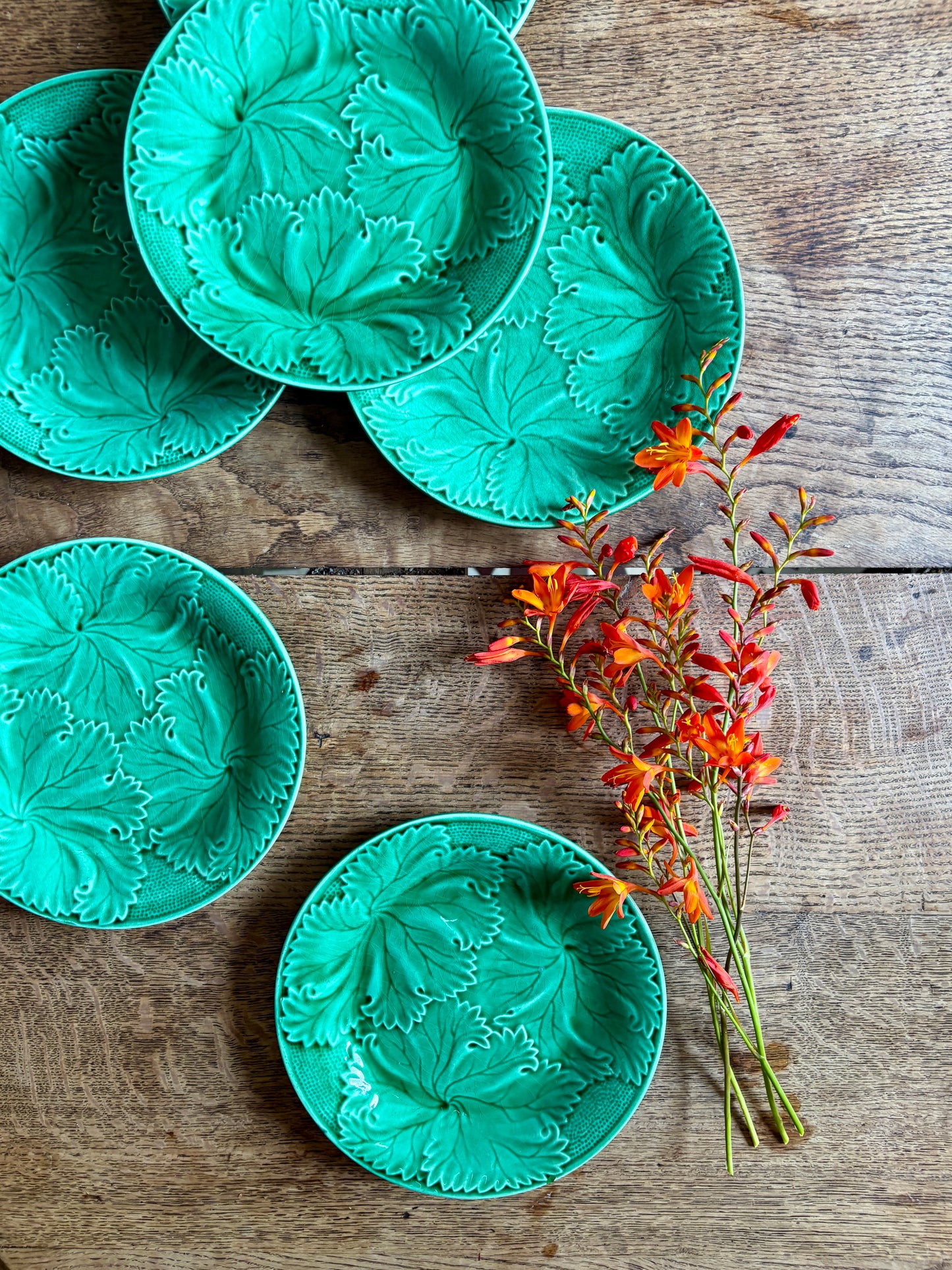 Lot de 6 assiettes vintage en faïence verte