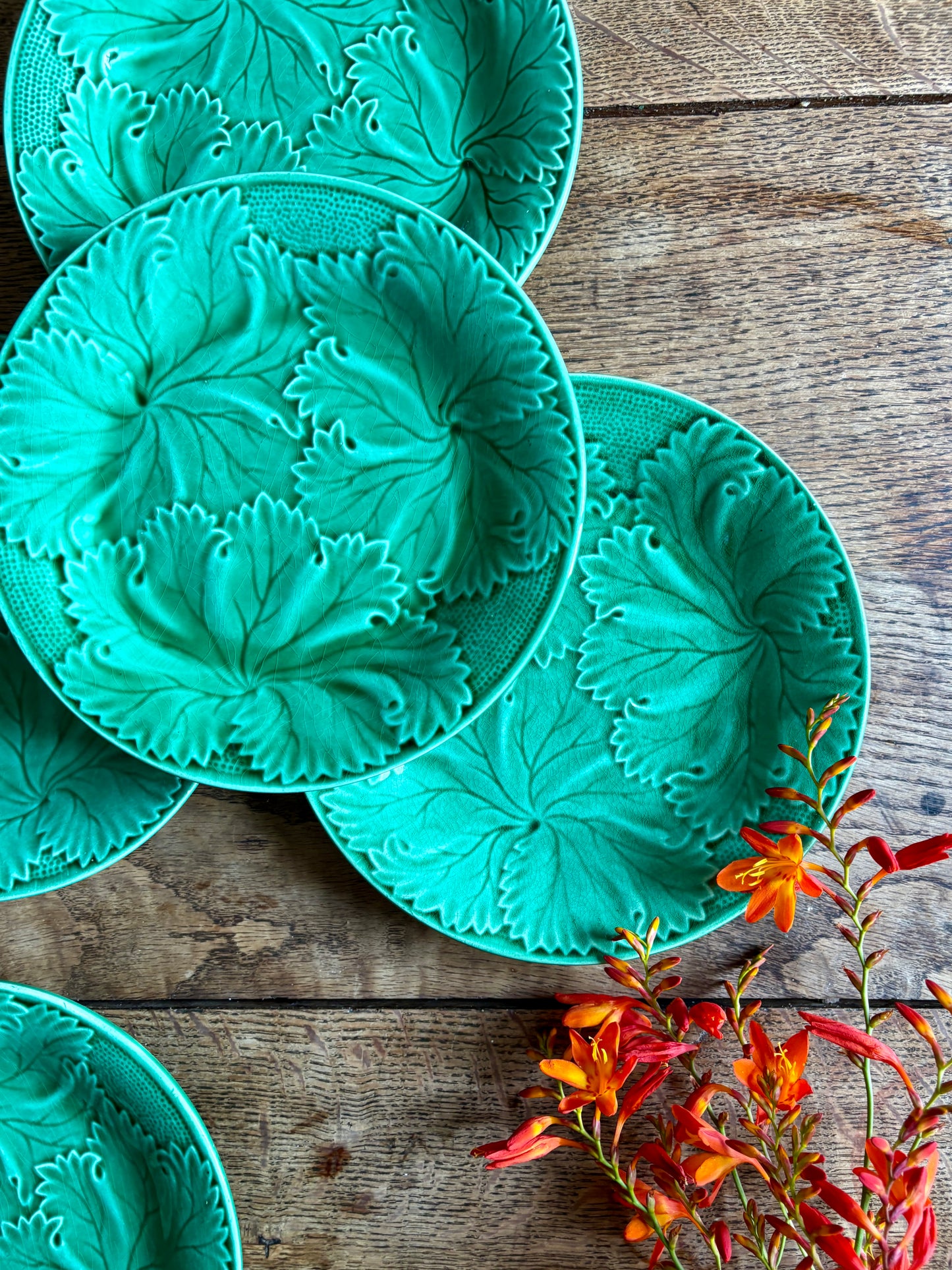 Lot de 6 assiettes vintage en faïence verte
