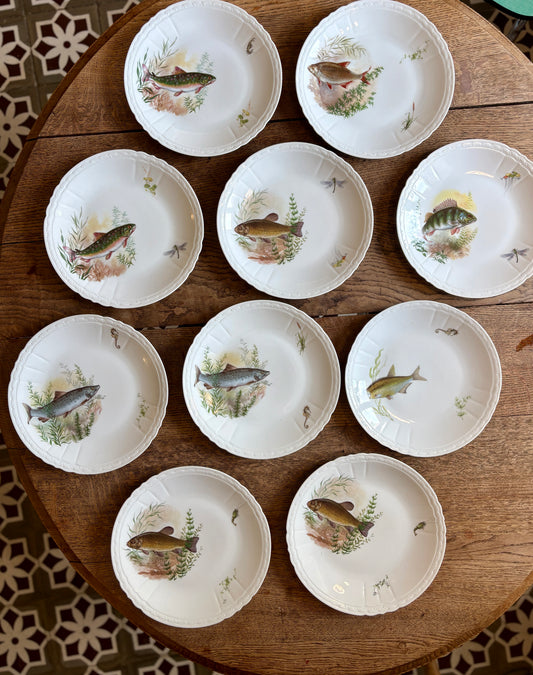 Lot de 10 assiettes plates anciennes en porcelaine, décors de poissons