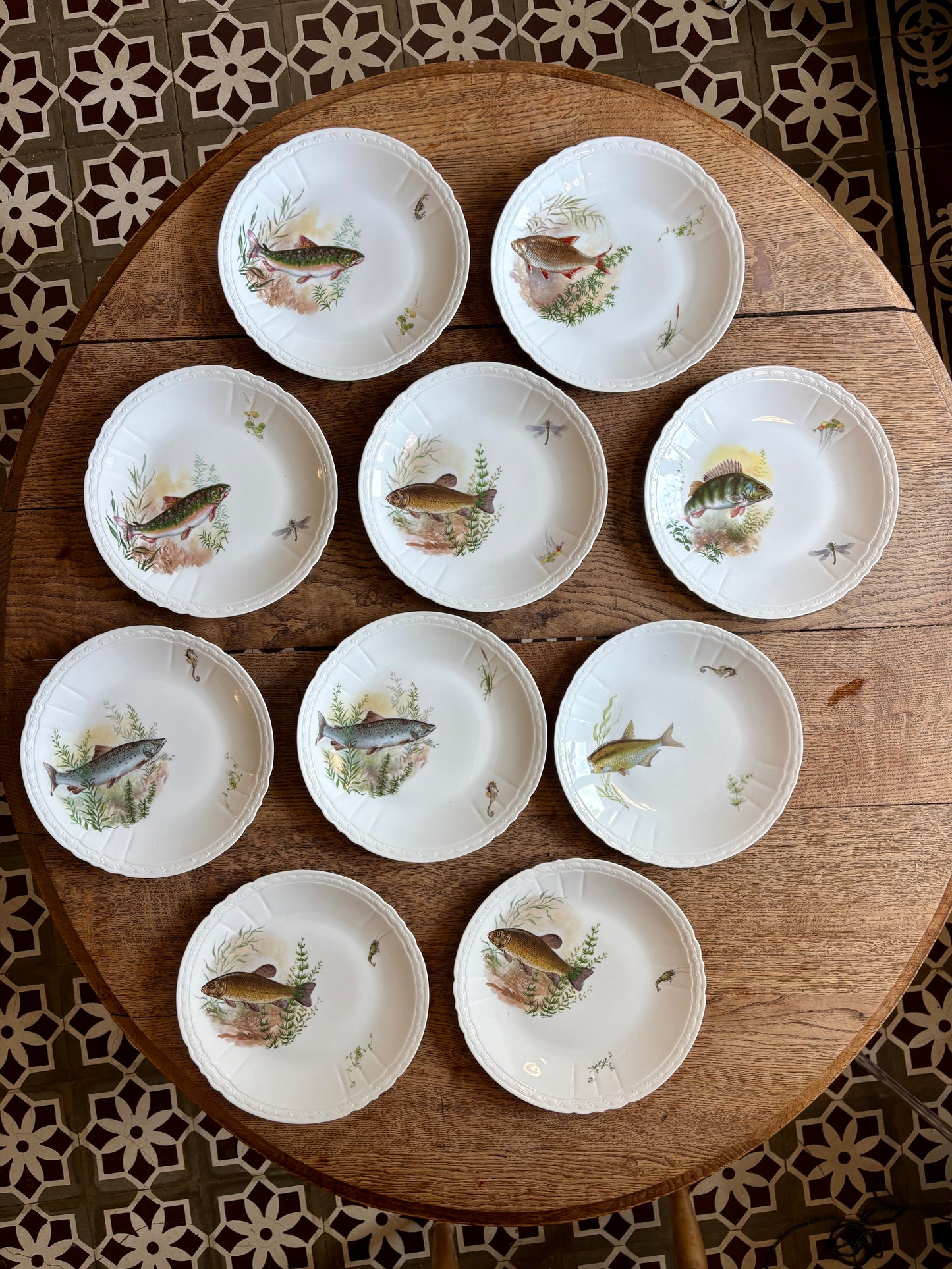 Lot de 10 assiettes plates anciennes en porcelaine, décors de poissons