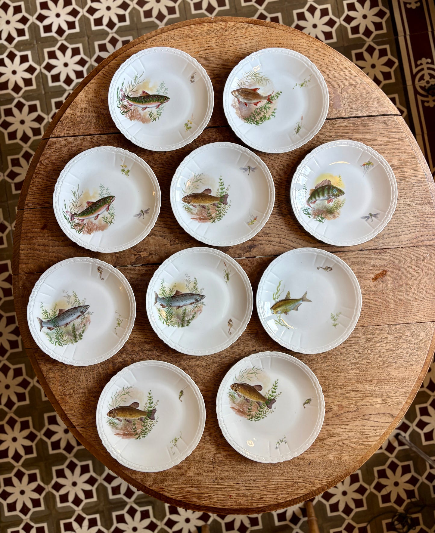 Lot de 10 assiettes plates anciennes en porcelaine, décors de poissons