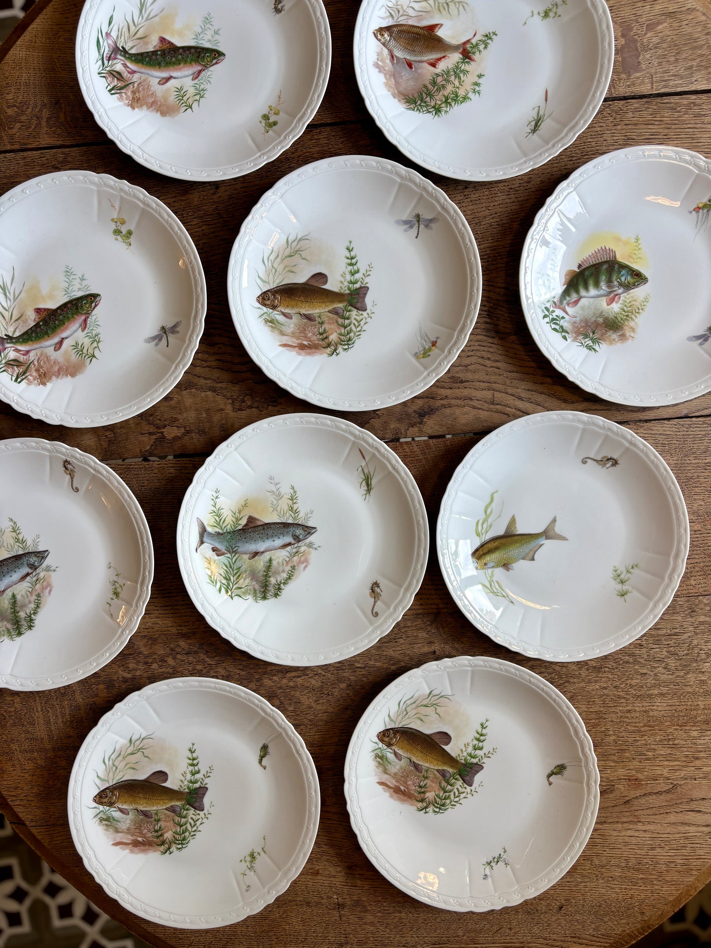 Lot de 10 assiettes plates anciennes en porcelaine, décors de poissons