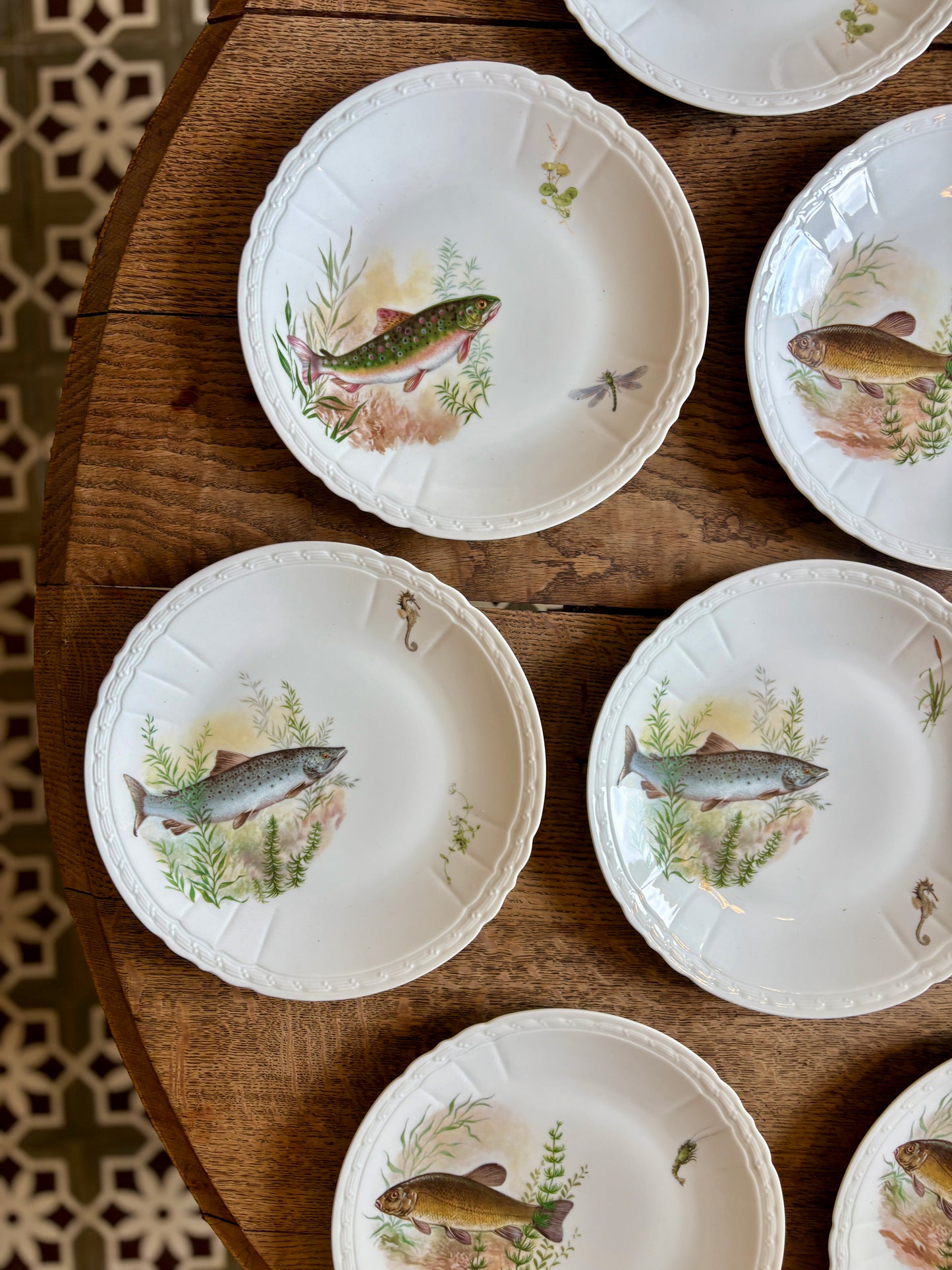 Lot de 10 assiettes plates anciennes en porcelaine, décors de poissons