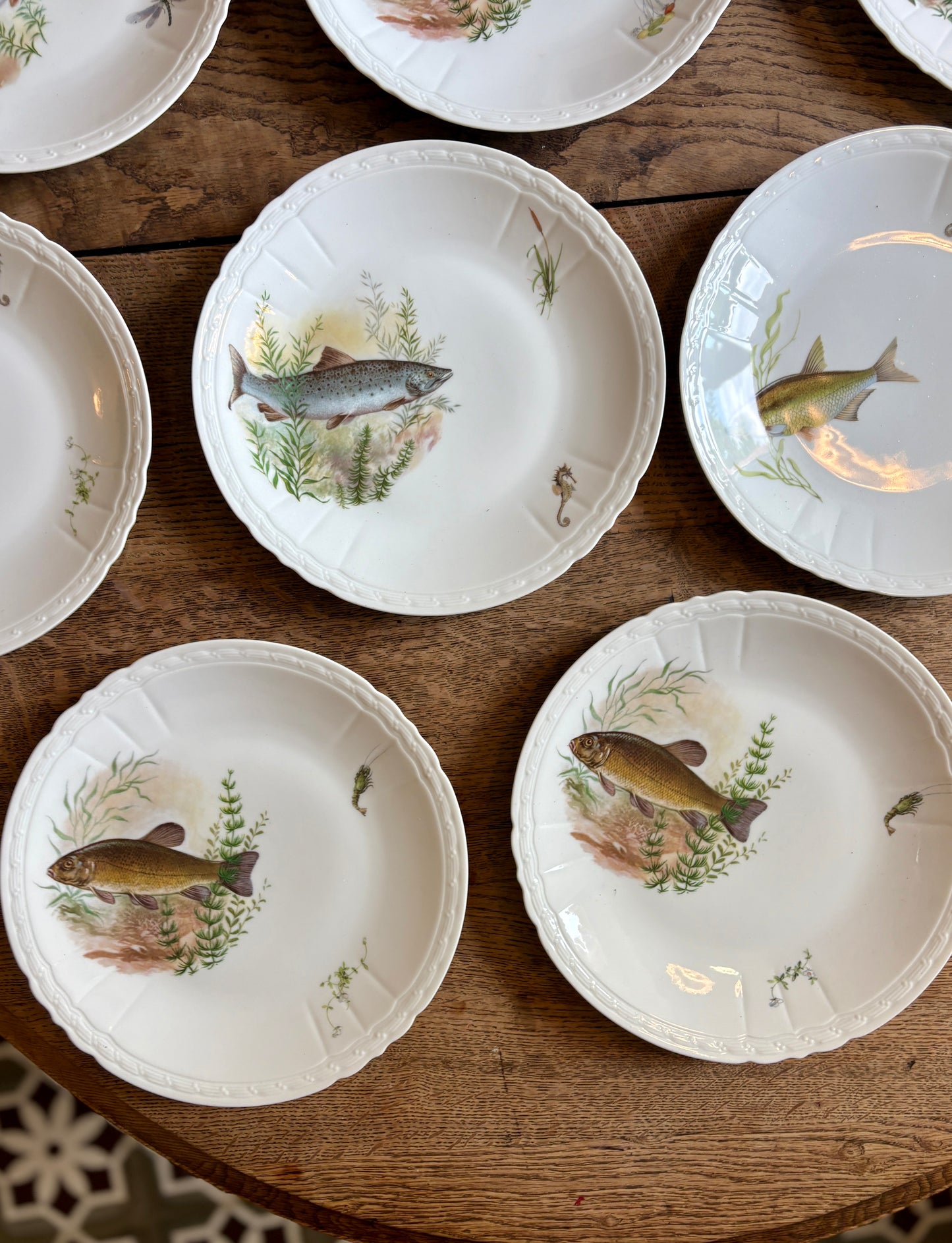 Lot de 10 assiettes plates anciennes en porcelaine, décors de poissons