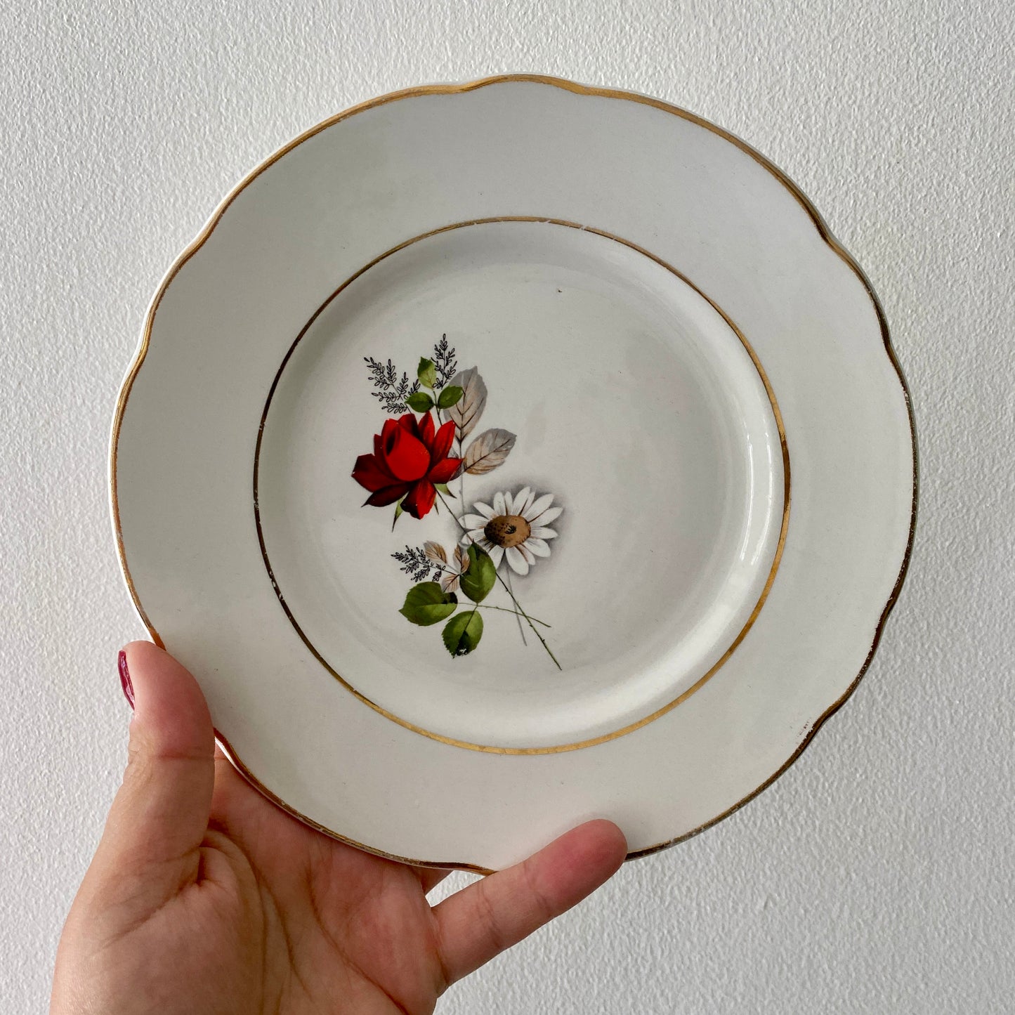 Lot de 6 assiettes à dessert vintage - modèle Mulhouse de Badonvillier