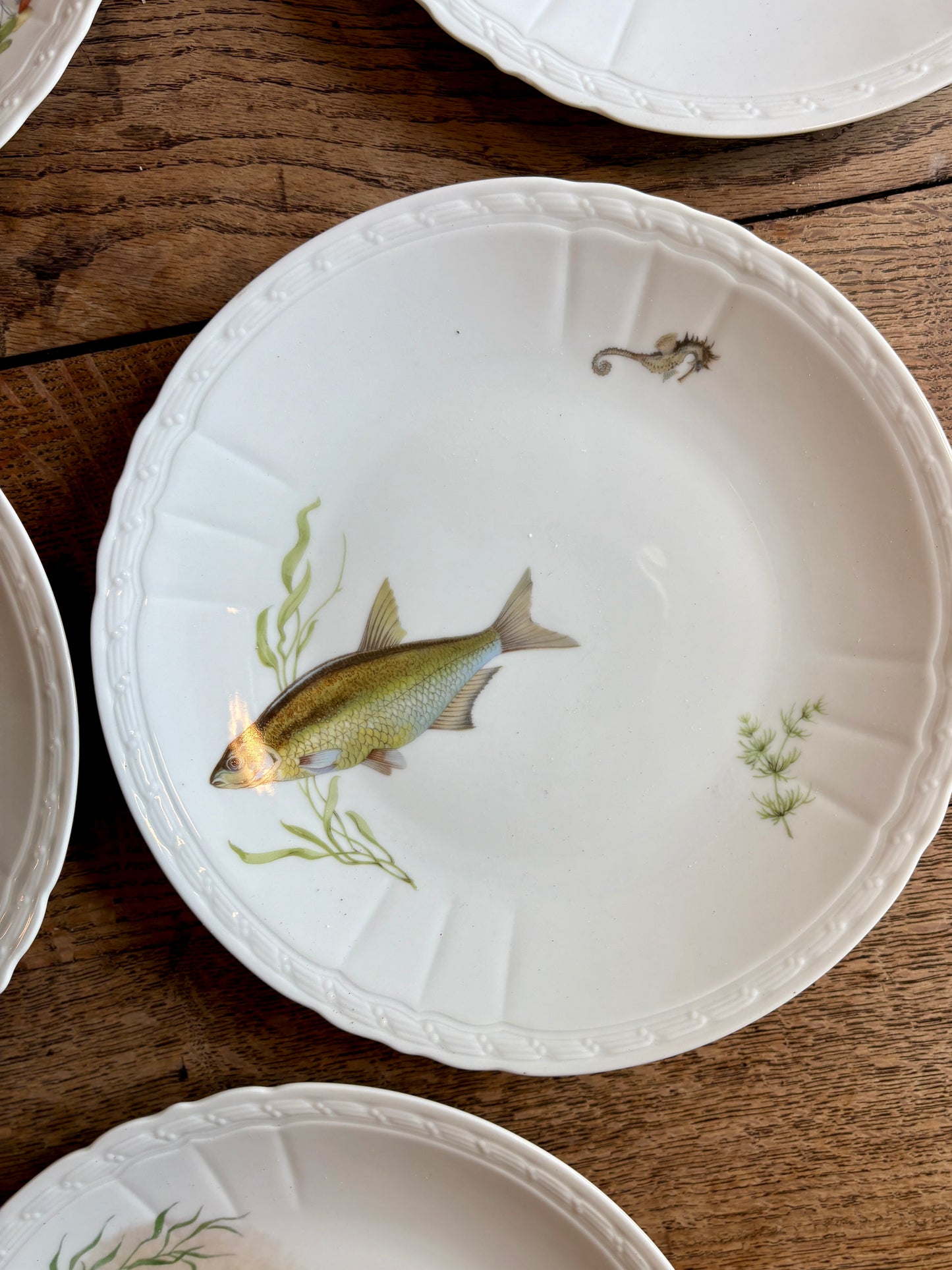 Lot de 10 assiettes plates anciennes en porcelaine, décors de poissons