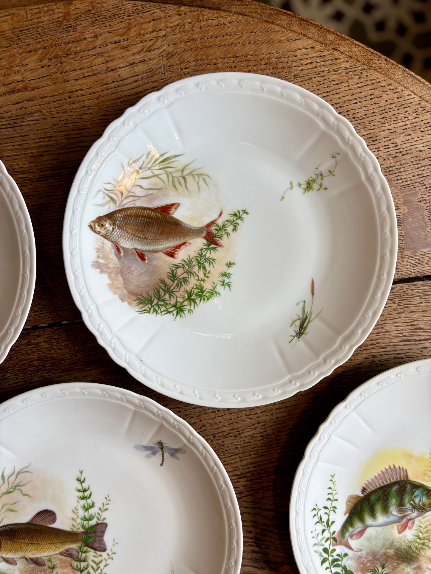 Lot de 10 assiettes plates anciennes en porcelaine, décors de poissons