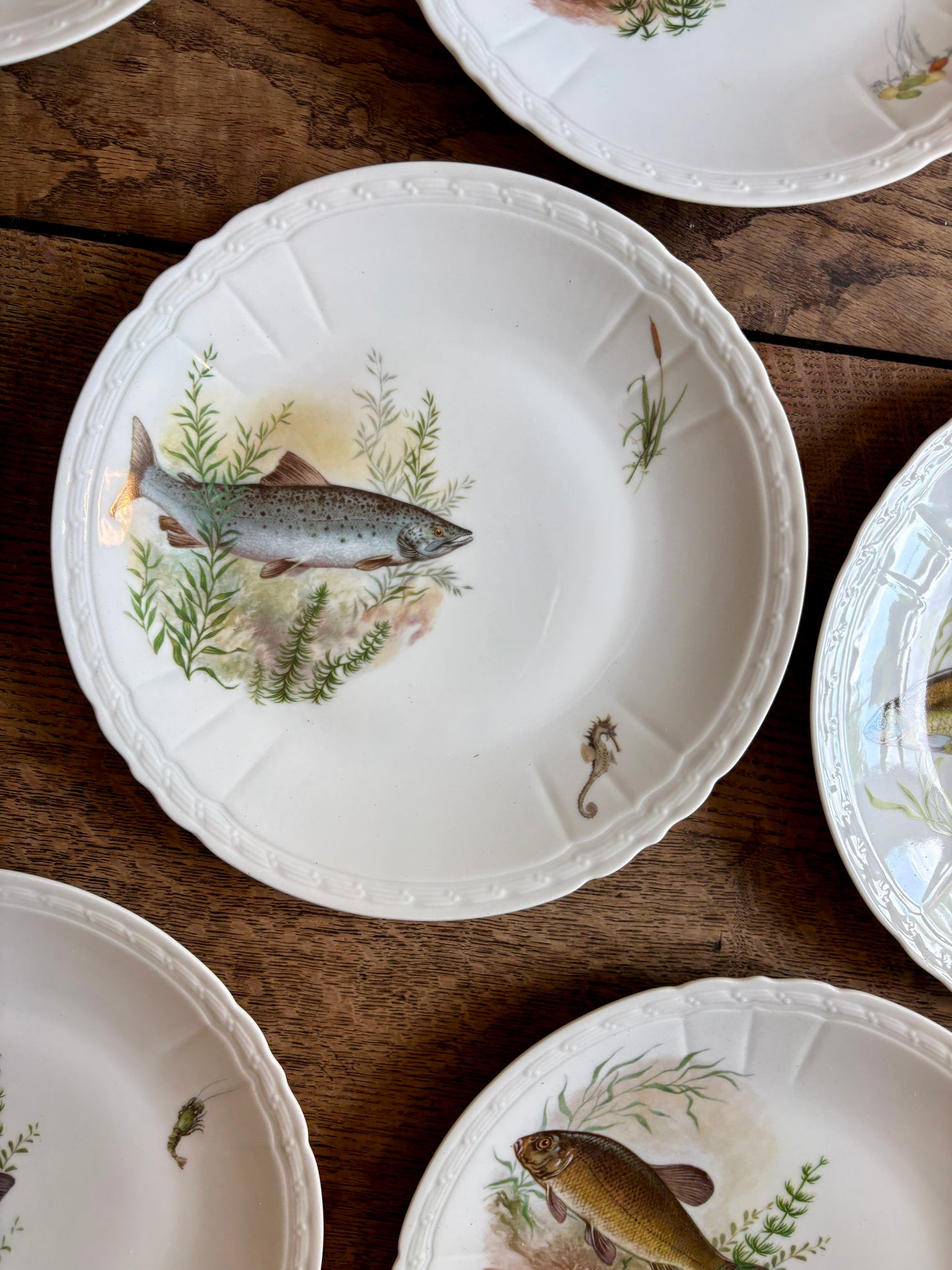 Lot de 10 assiettes plates anciennes en porcelaine, décors de poissons