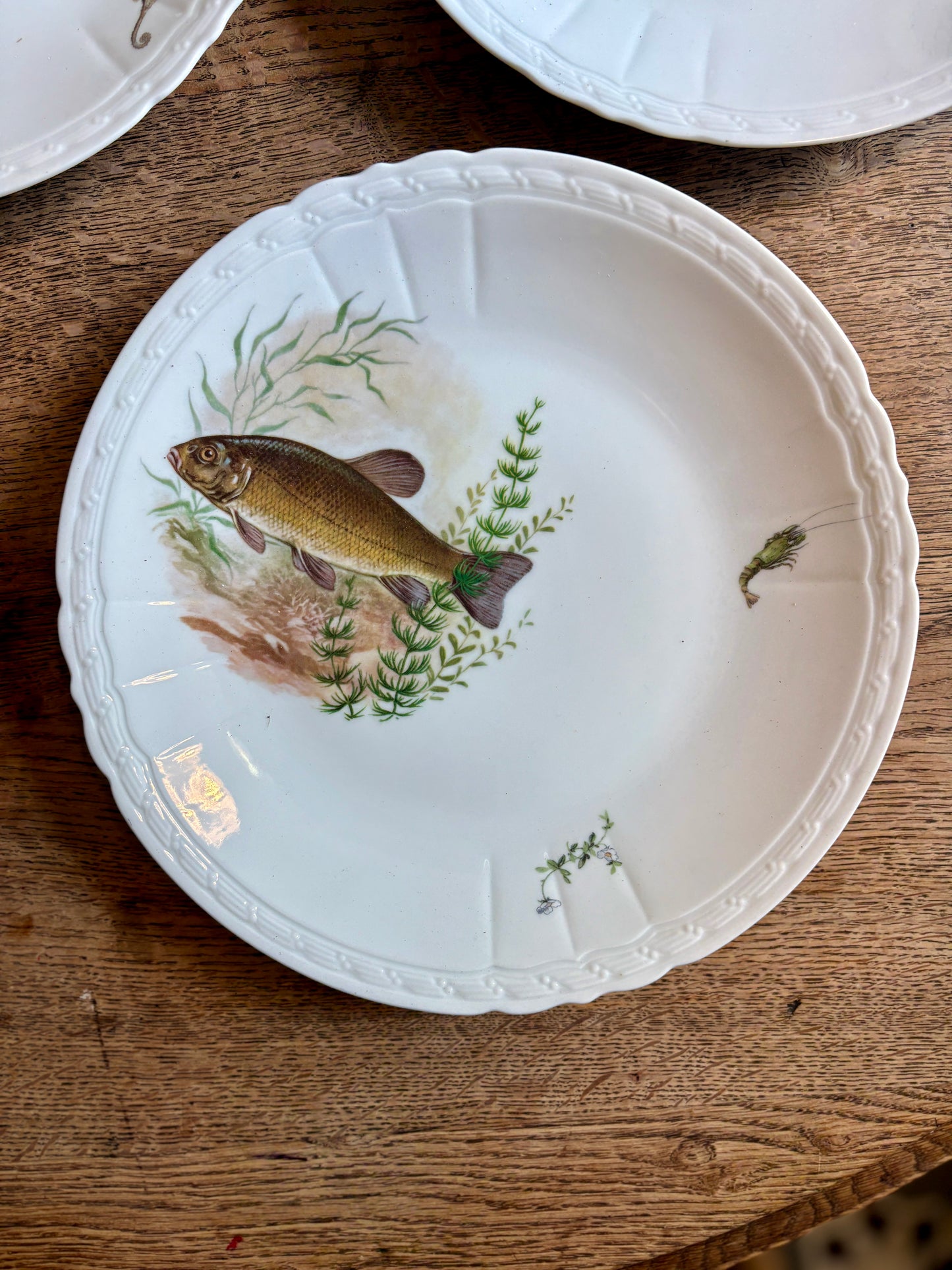 Lot de 10 assiettes plates anciennes en porcelaine, décors de poissons