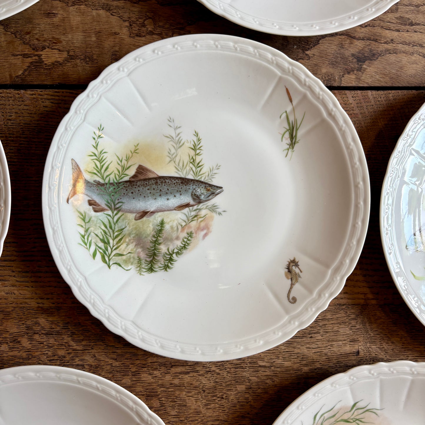 Lot de 10 assiettes plates anciennes en porcelaine, décors de poissons