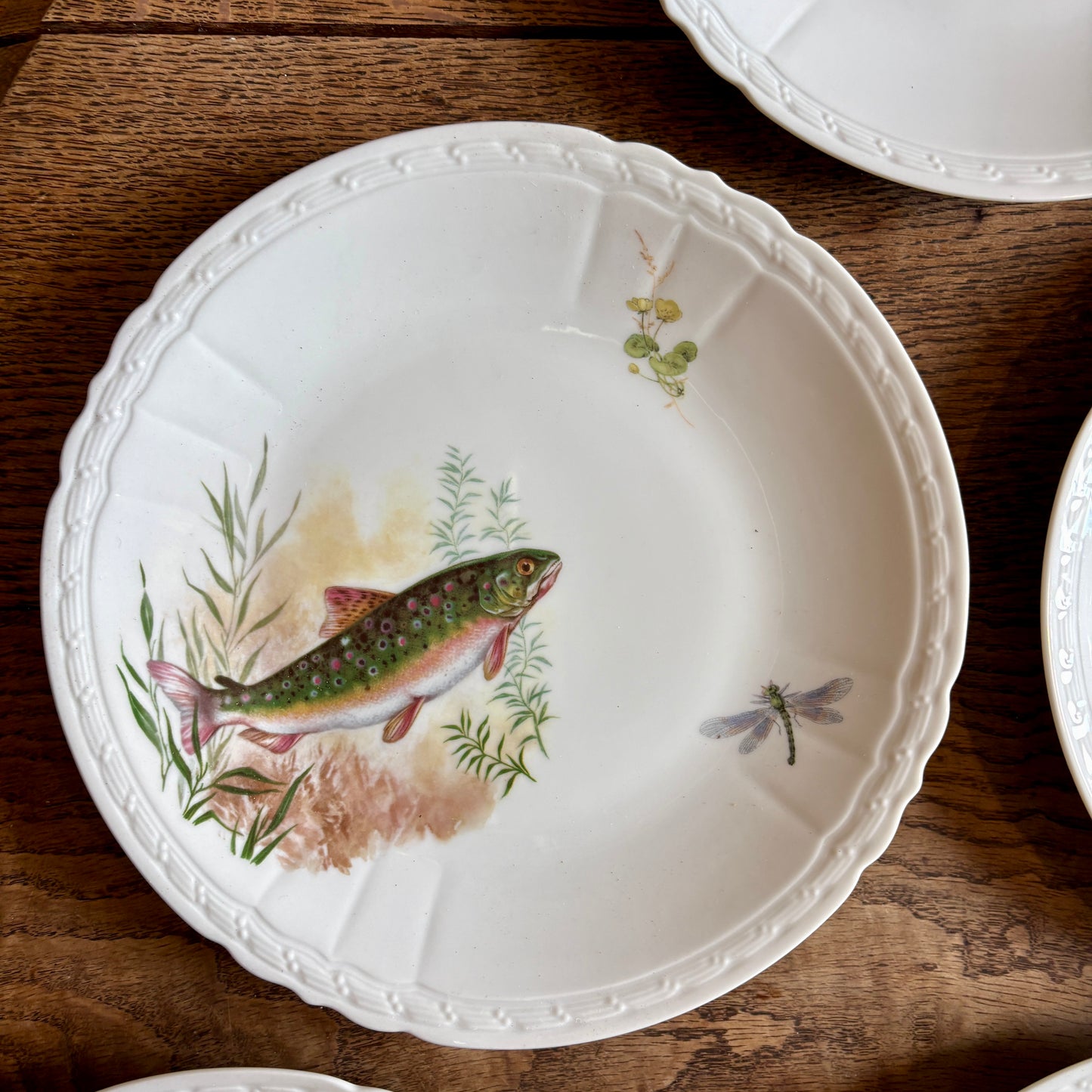 Lot de 10 assiettes plates anciennes en porcelaine, décors de poissons