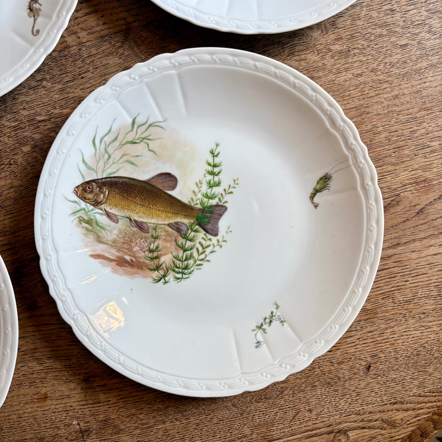 Lot de 10 assiettes plates anciennes en porcelaine, décors de poissons