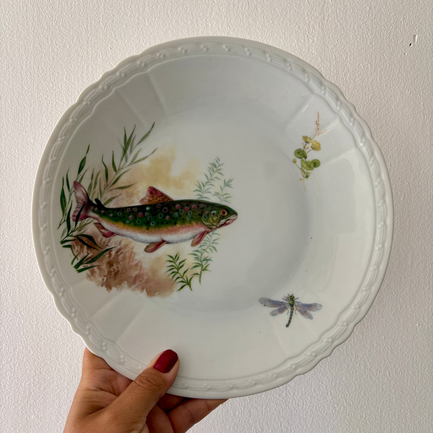 Lot de 10 assiettes plates anciennes en porcelaine, décors de poissons