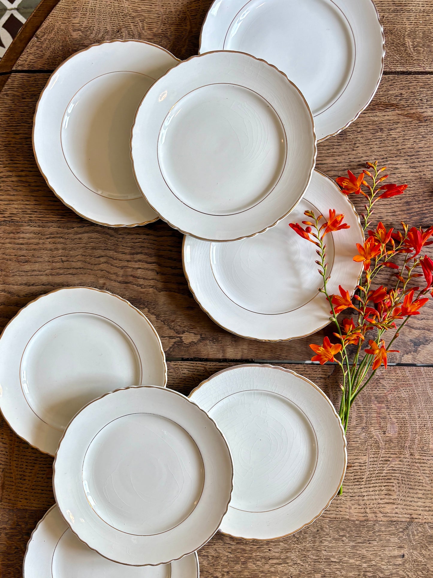 Lot de 8 assiettes à dessert vintage Moulin des Loups