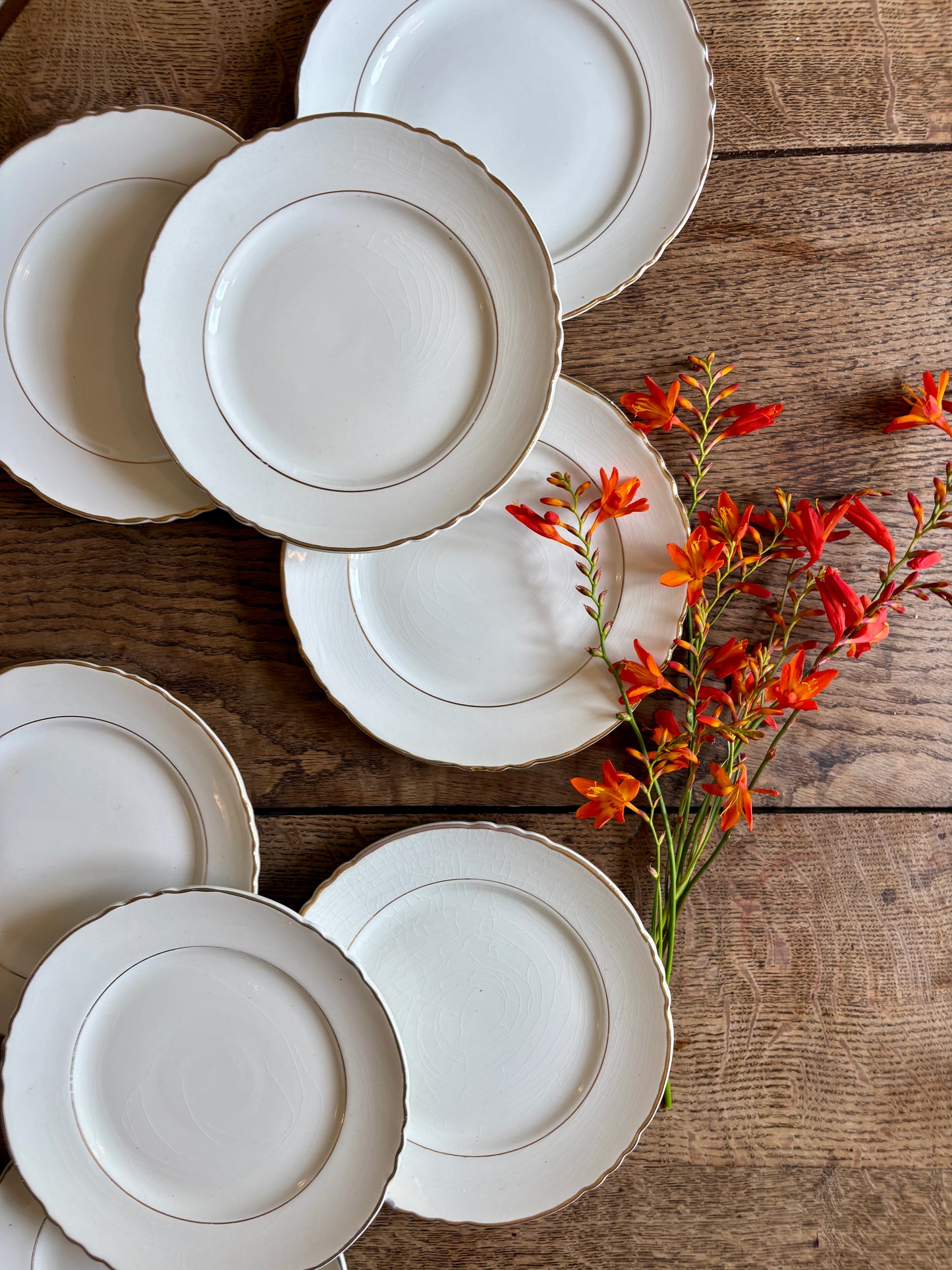 Lot de 8 assiettes à dessert vintage Moulin des Loups