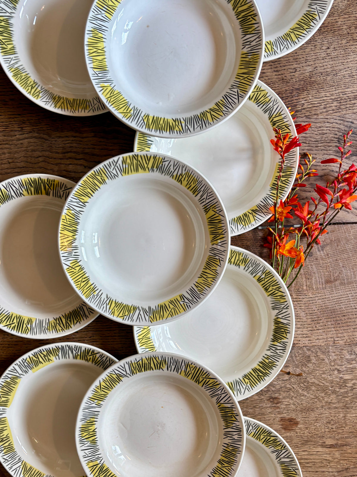 Lot de 10 assiettes creuses vintage, modèles Monico de Digoin/Sarreguemines