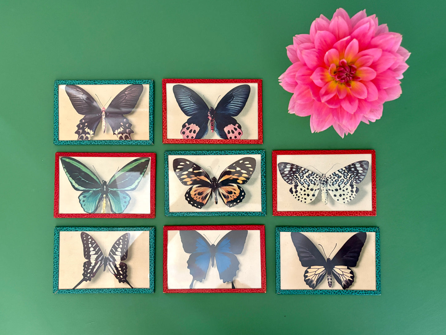 Lot d'anciennes cartes postales encadrées décors de papillons