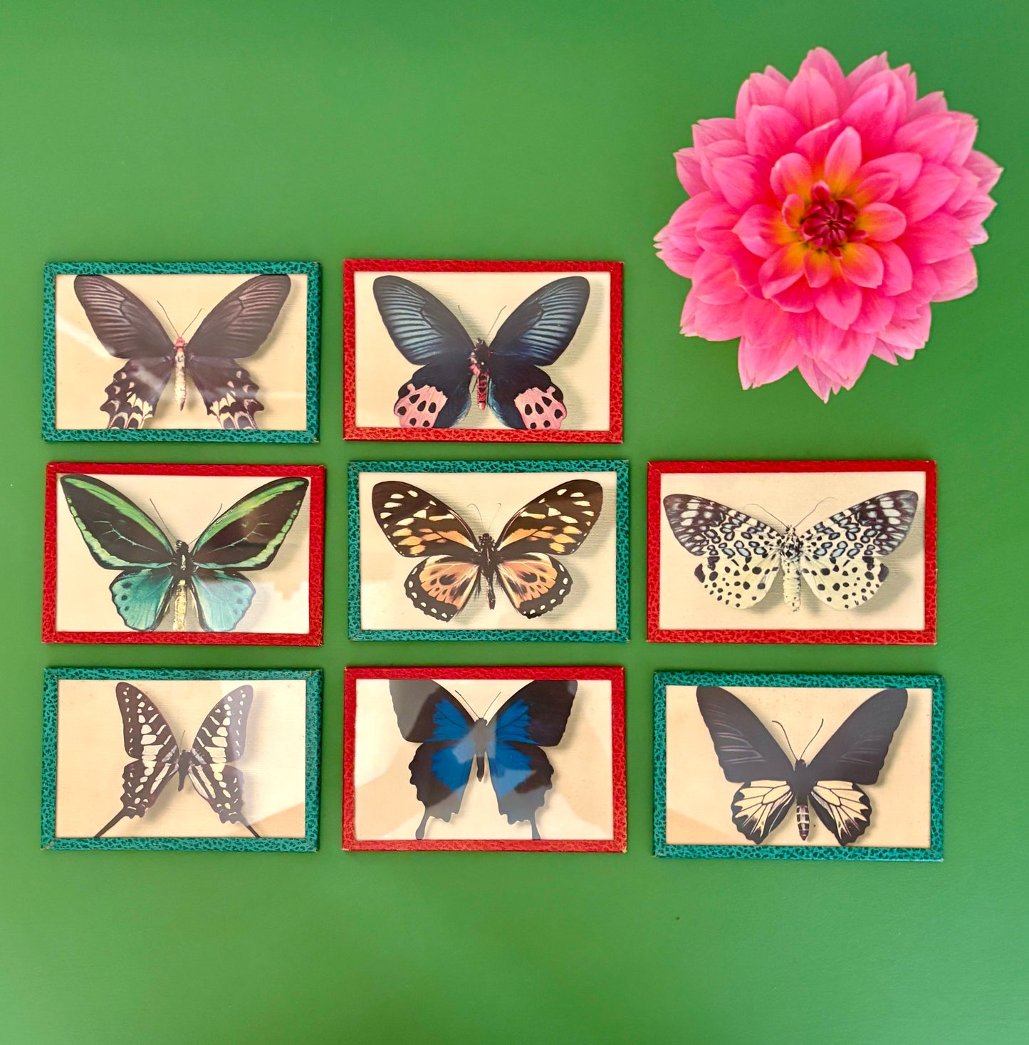 Lot d'anciennes cartes postales encadrées décors de papillons