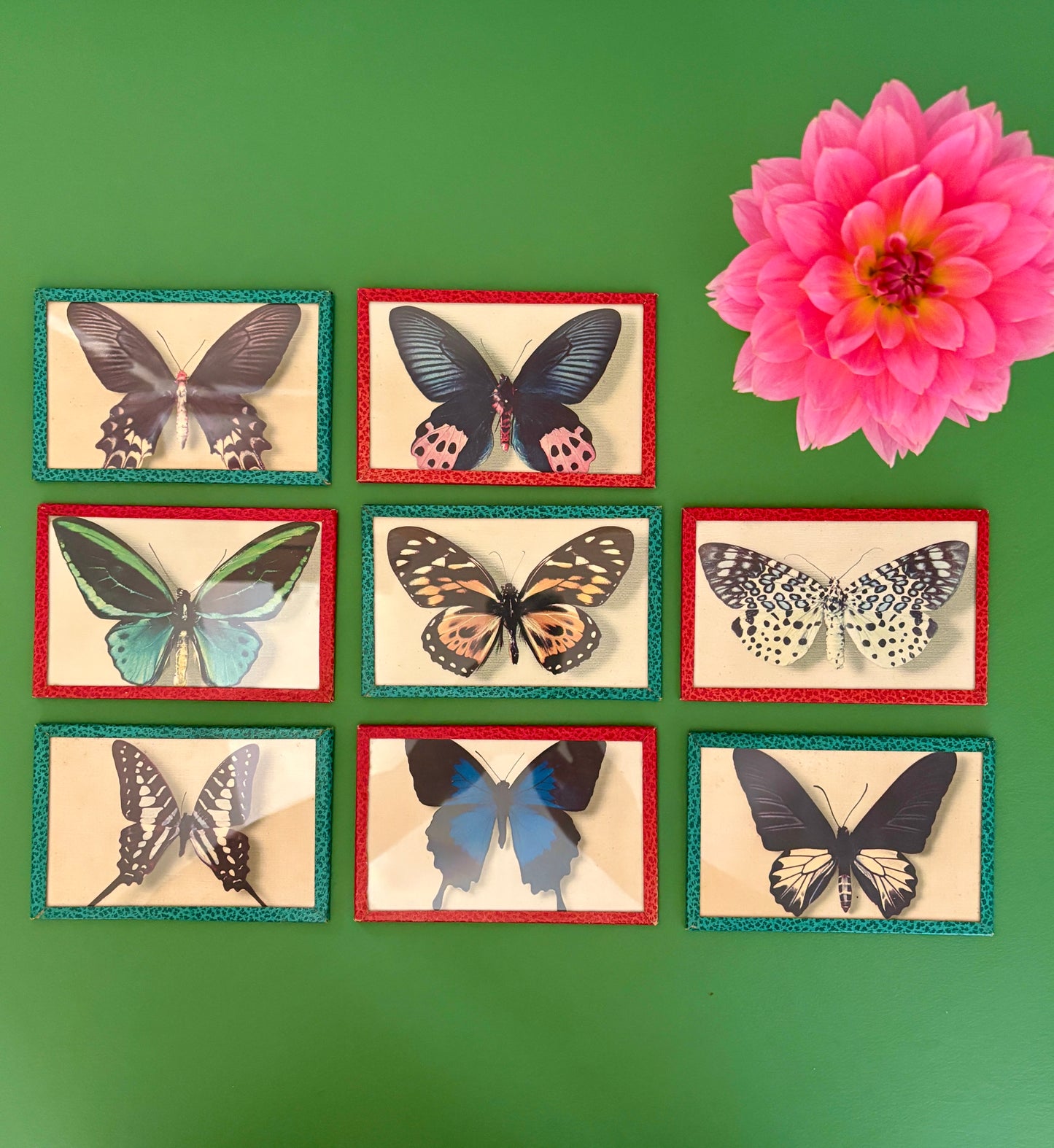 Lot d'anciennes cartes postales encadrées décors de papillons