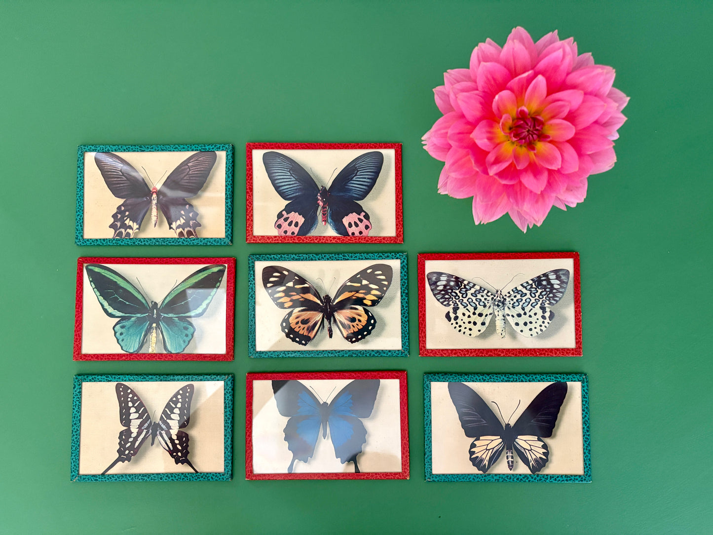 Lot d'anciennes cartes postales encadrées décors de papillons