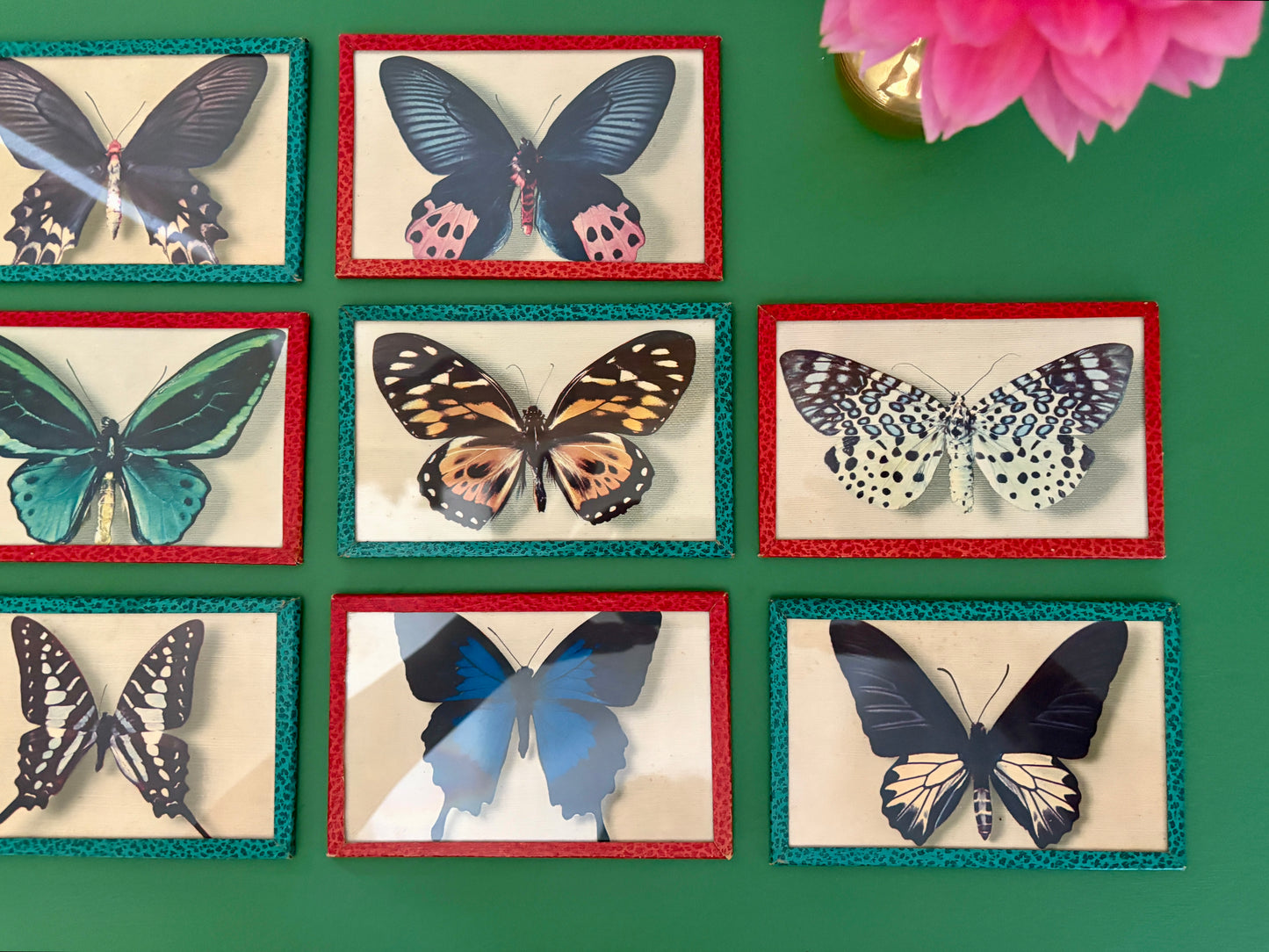 Lot d'anciennes cartes postales encadrées décors de papillons