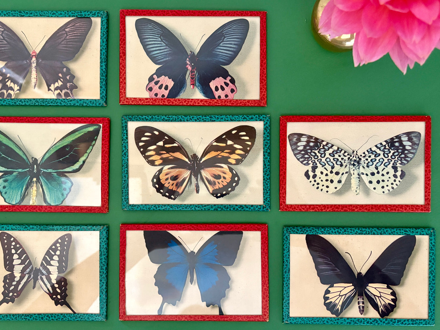 Lot d'anciennes cartes postales encadrées décors de papillons