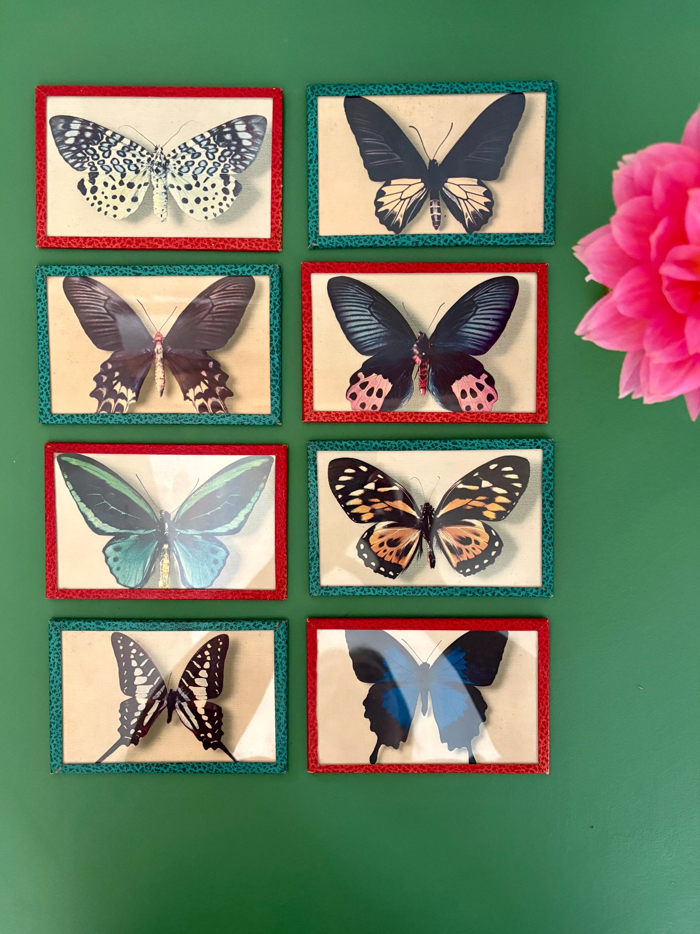 Lot d'anciennes cartes postales encadrées décors de papillons