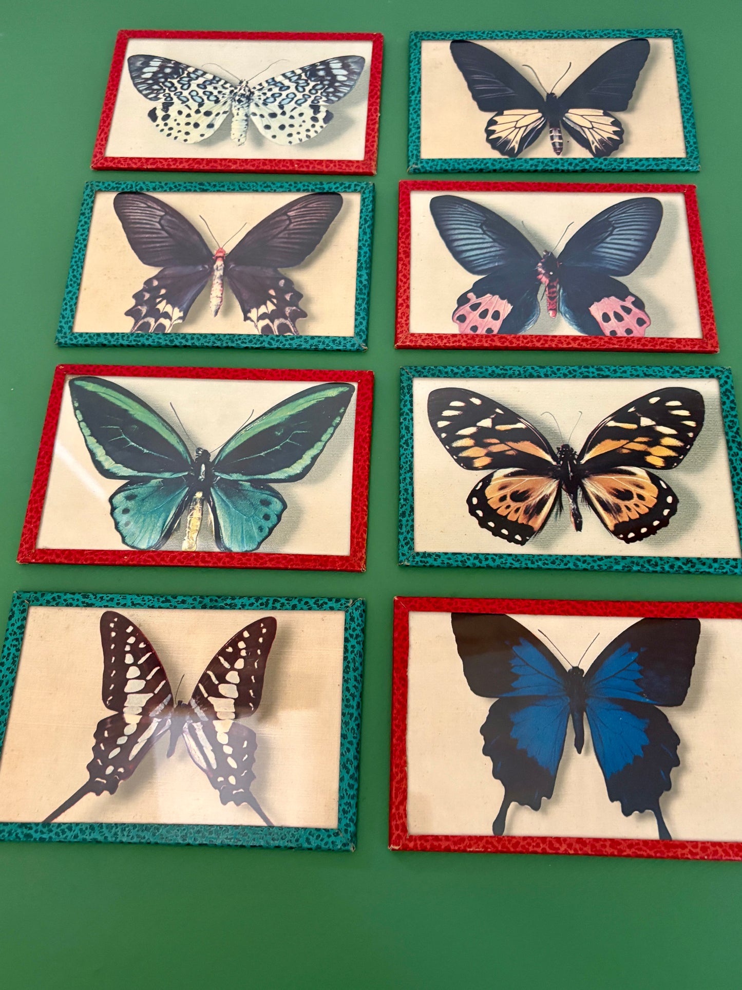 Lot d'anciennes cartes postales encadrées décors de papillons