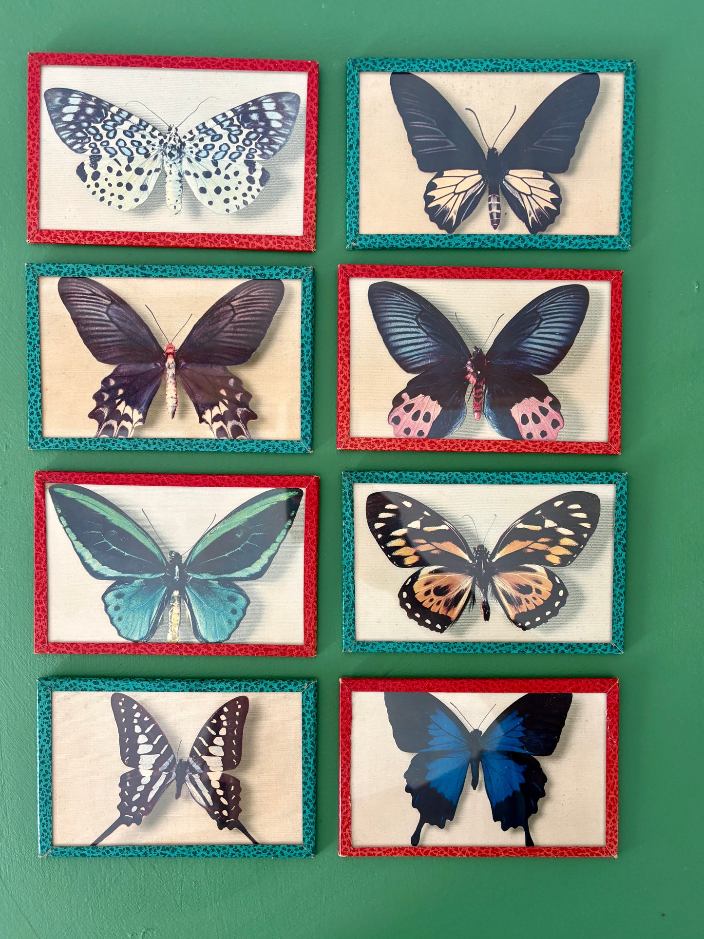 Lot d'anciennes cartes postales encadrées décors de papillons