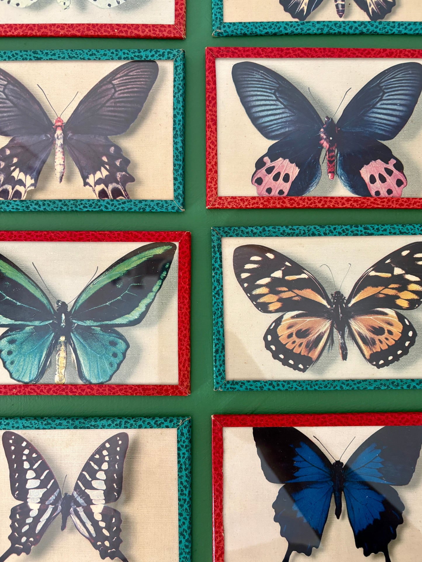 Lot d'anciennes cartes postales encadrées décors de papillons