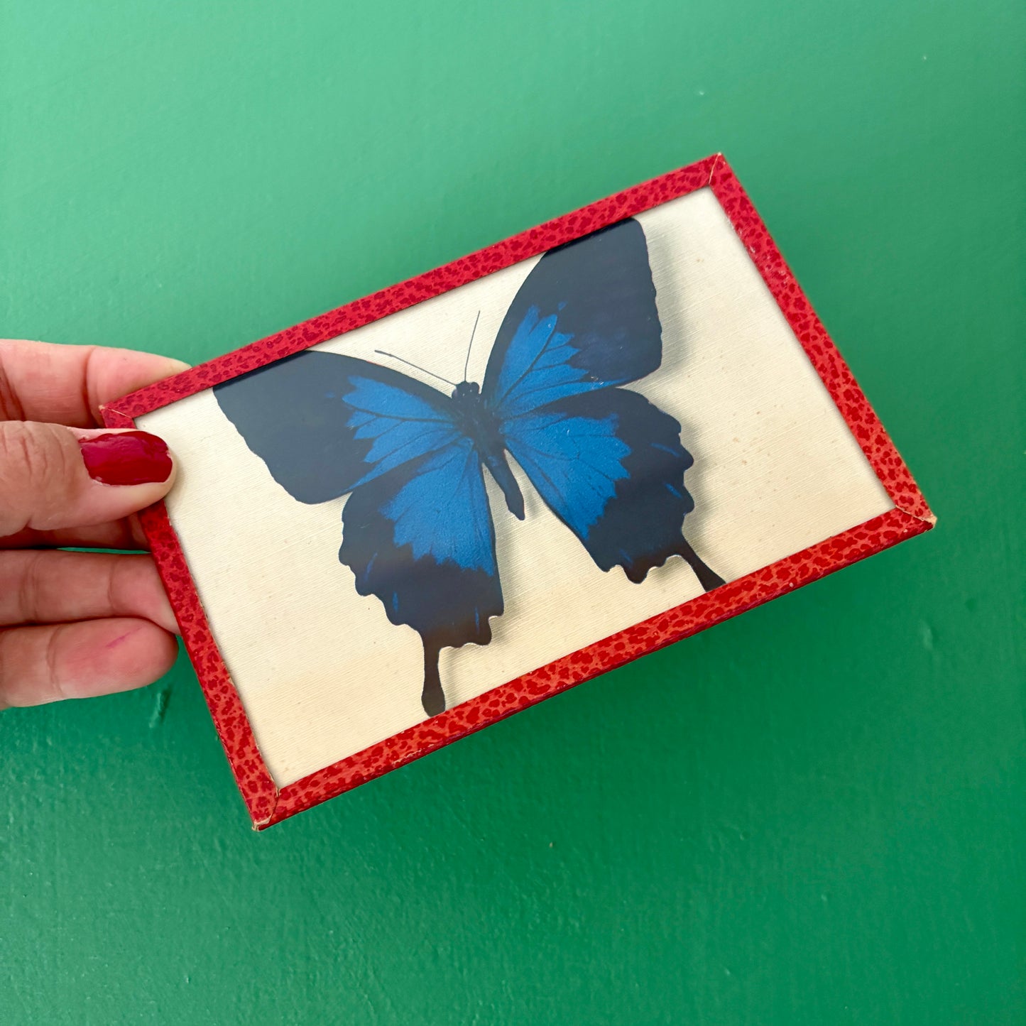 Lot d'anciennes cartes postales encadrées décors de papillons