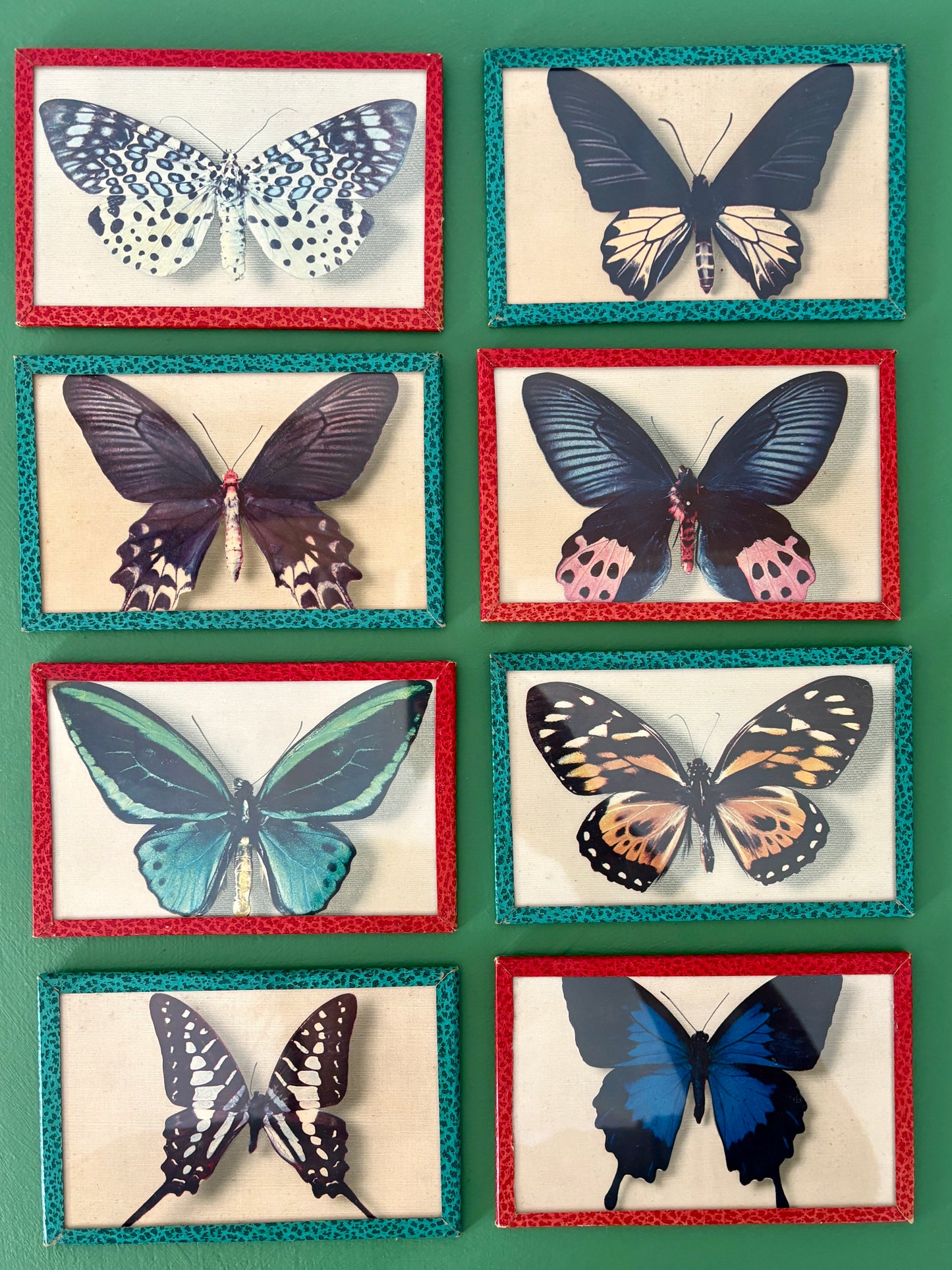 Lot d'anciennes cartes postales encadrées décors de papillons