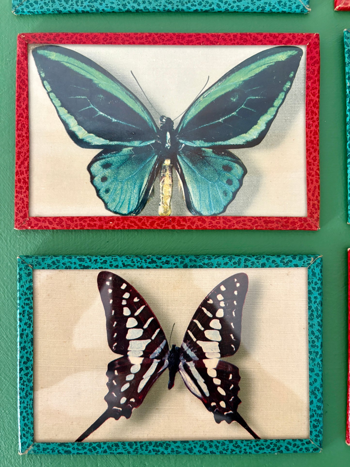 Lot d'anciennes cartes postales encadrées décors de papillons