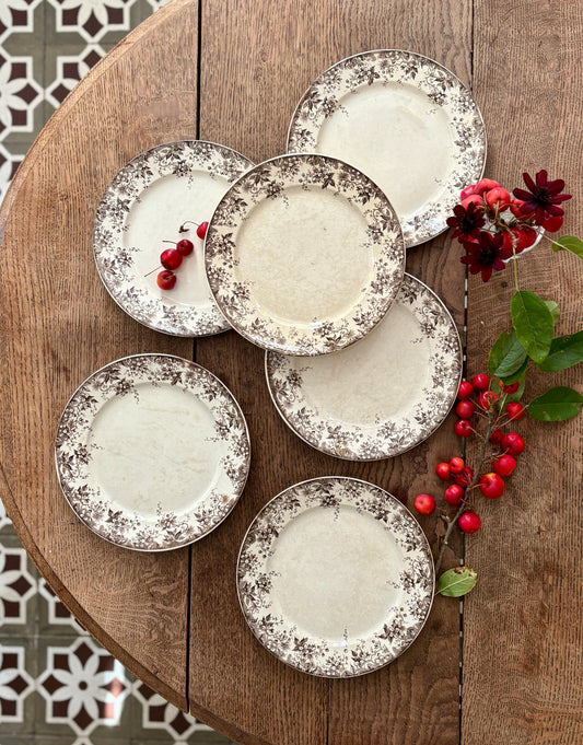 Lot de 6 assiettes plates anciennes en terre de fer modèle Alphand de Sarreguemines