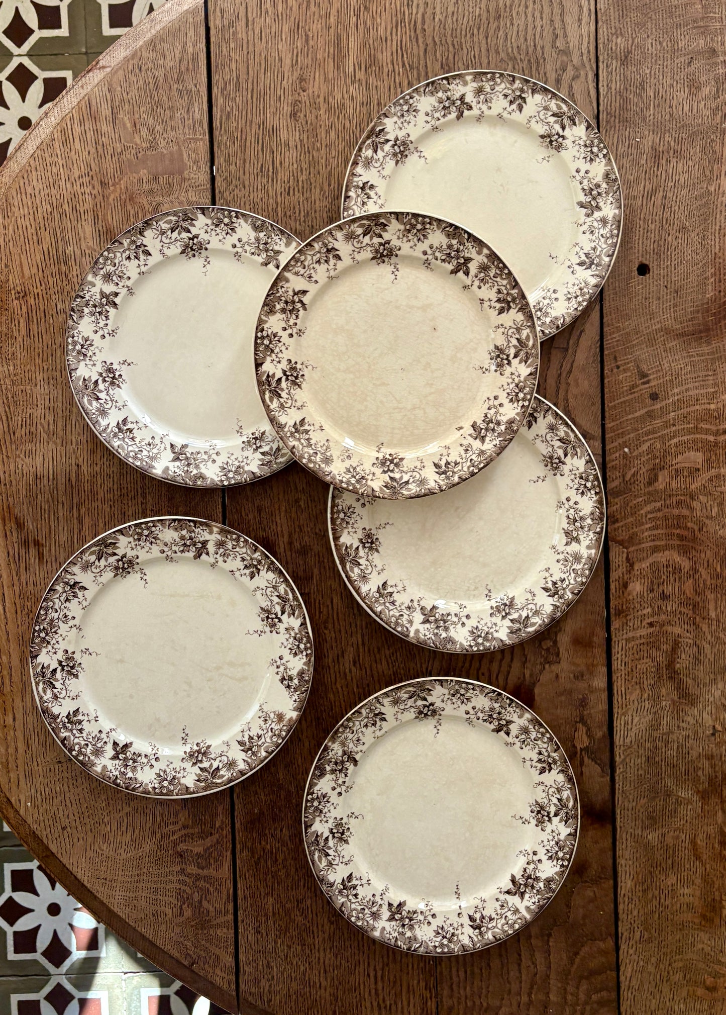 Lot de 6 assiettes plates anciennes en terre de fer modèle Alphand de Sarreguemines