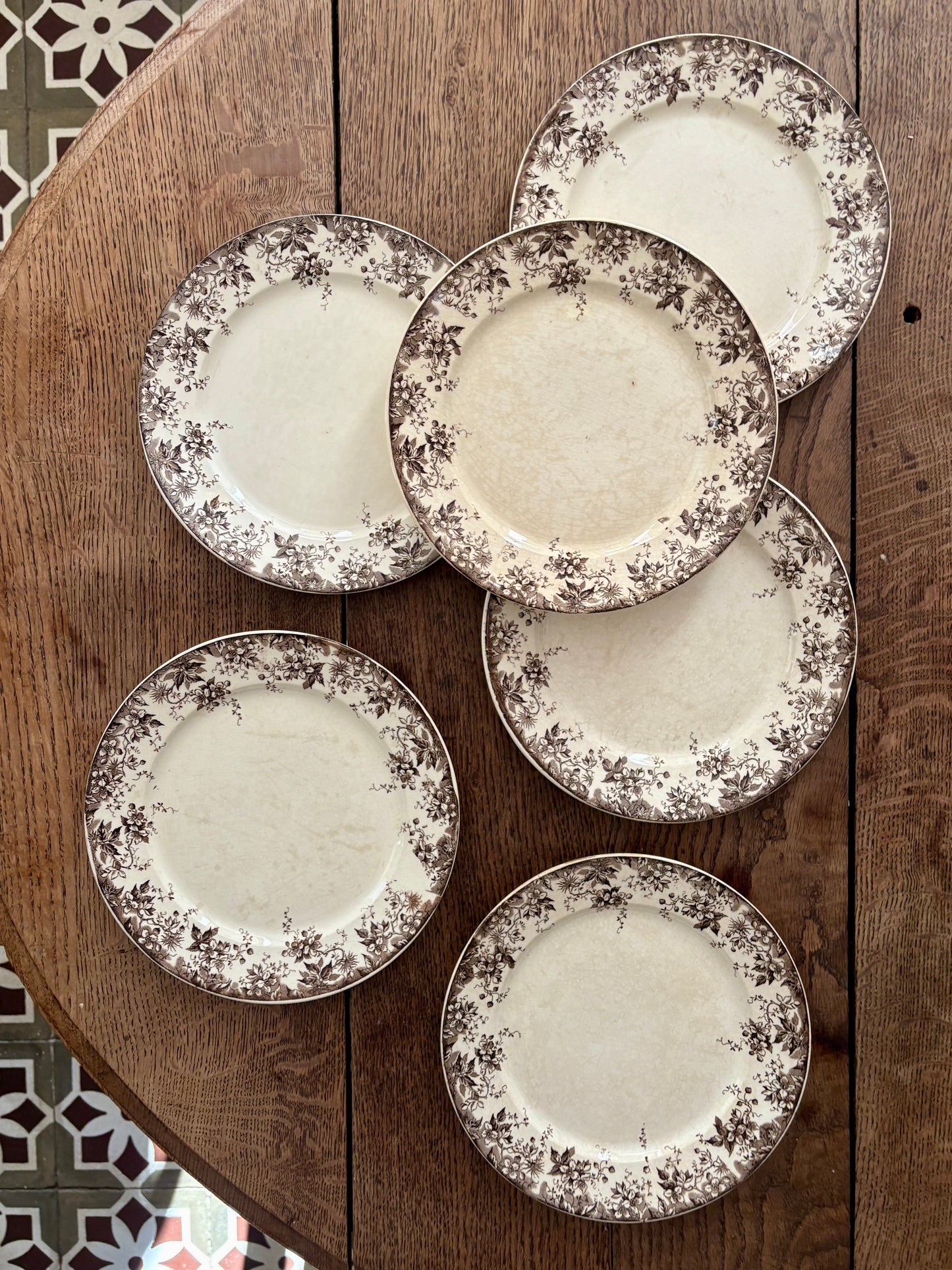 Lot de 6 assiettes plates anciennes en terre de fer modèle Alphand de Sarreguemines
