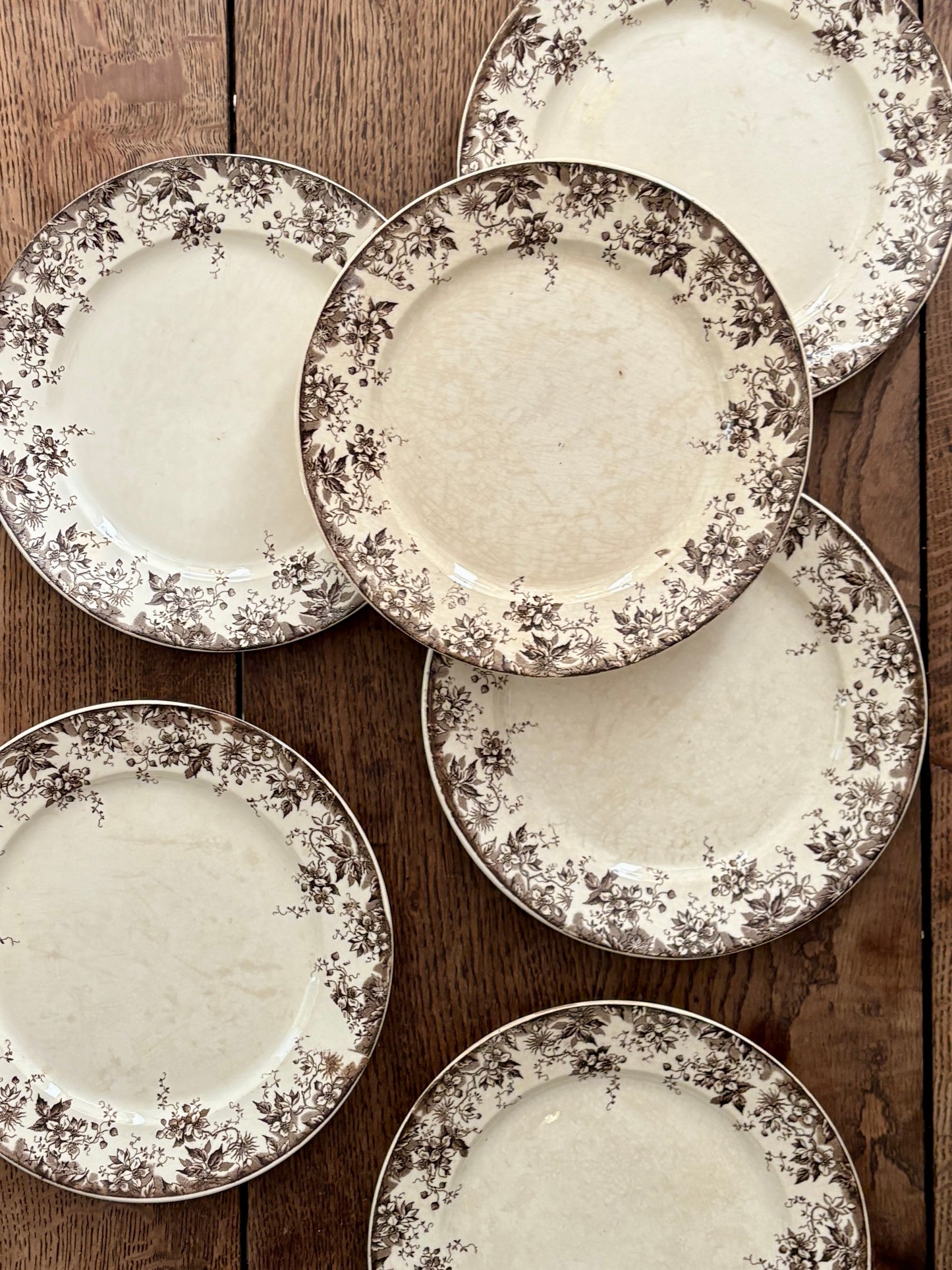 Lot de 6 assiettes plates anciennes en terre de fer modèle Alphand de Sarreguemines