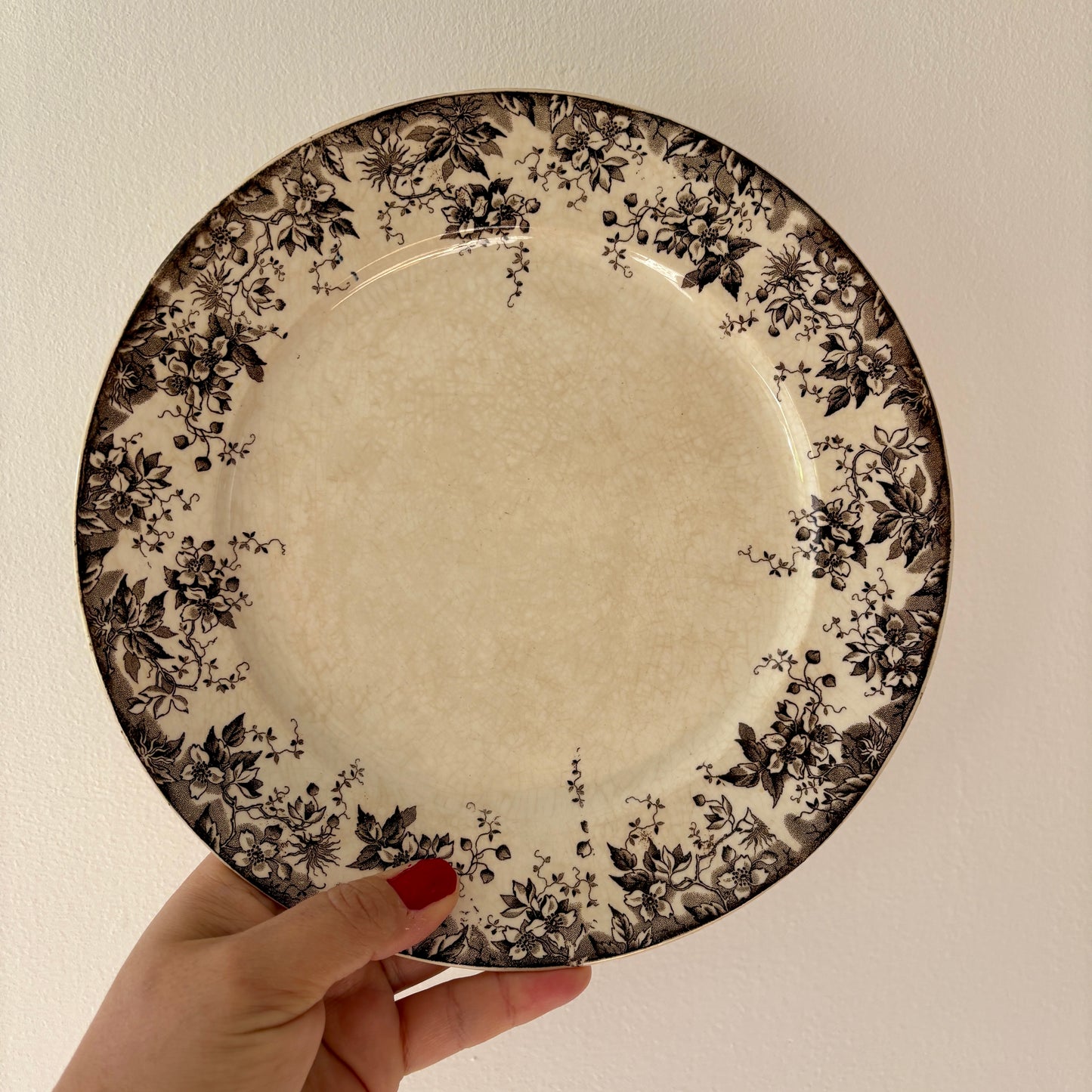 Lot de 6 assiettes plates anciennes en terre de fer modèle Alphand de Sarreguemines