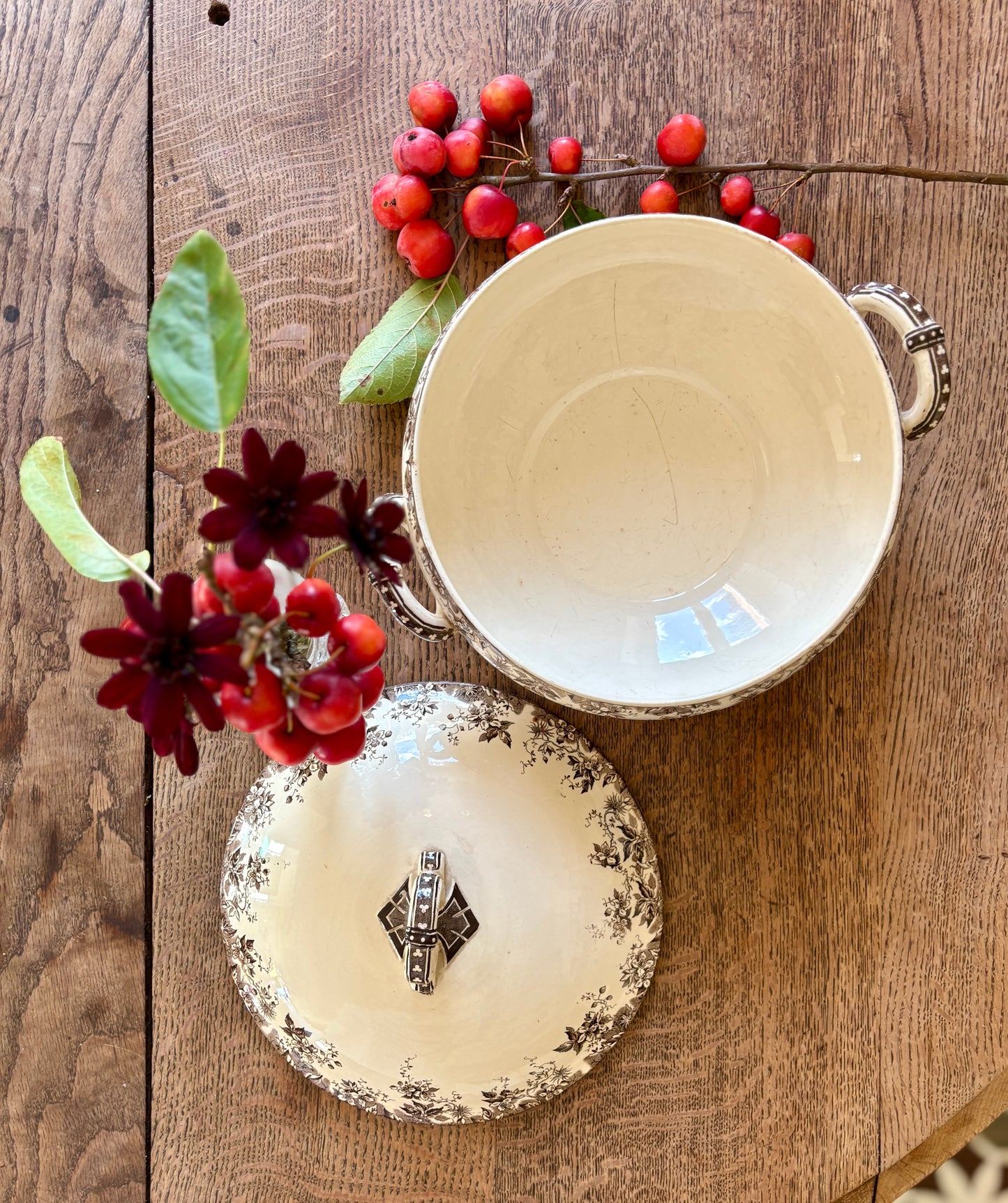 Soupière ancienne en terre de fer, modèle Aplhand de Sarreguemines