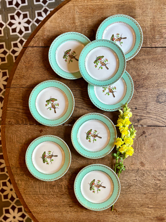 Lot de 6 assiettes à dessert vintage décors d'oiseaux
