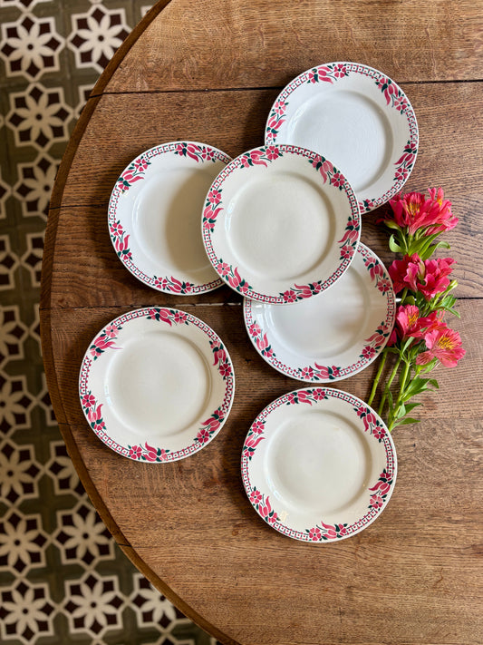 Lot de 6 assiettes plates anciennes - Saint Amand Céranord